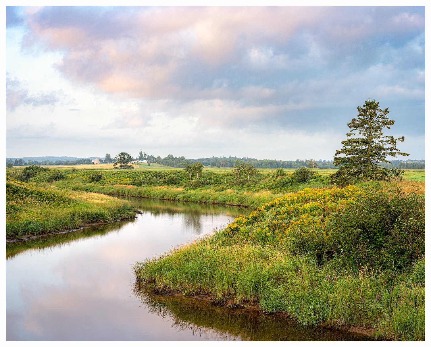 Morice Creek, Summer Morning