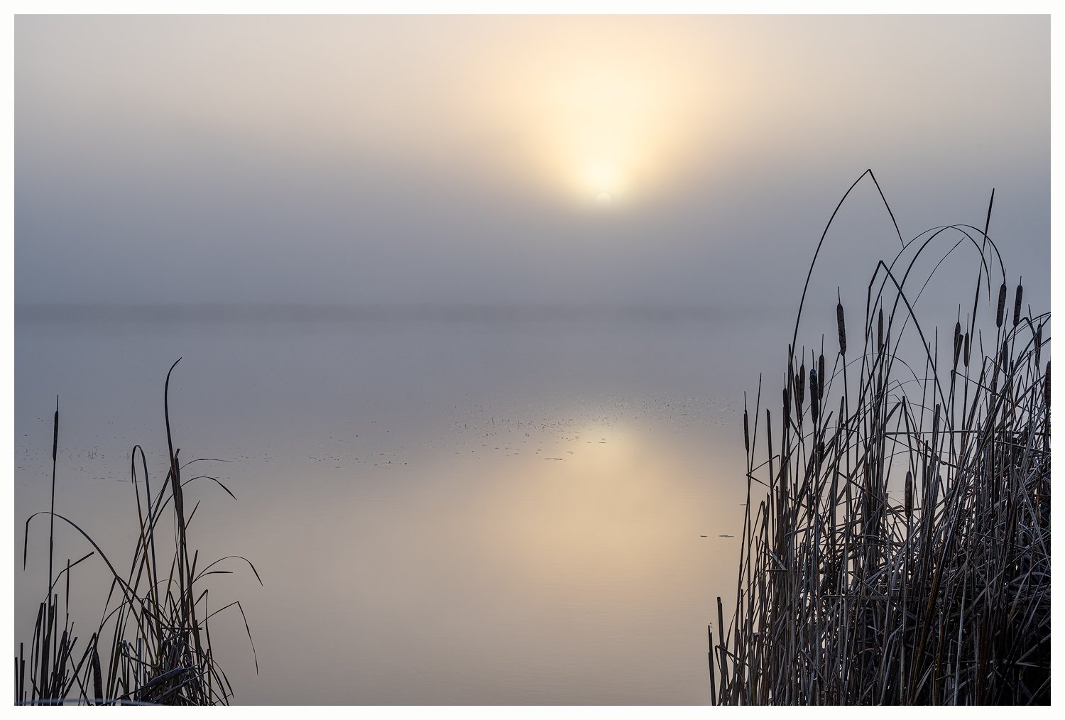 October Mist, Tintamarre