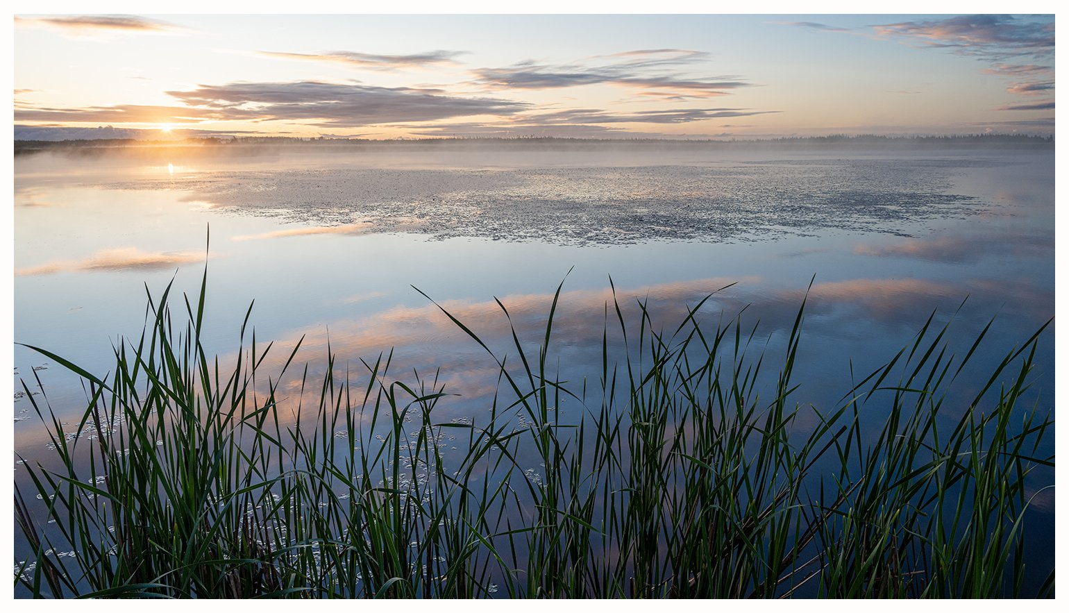 Tintamarre, Early June (1)