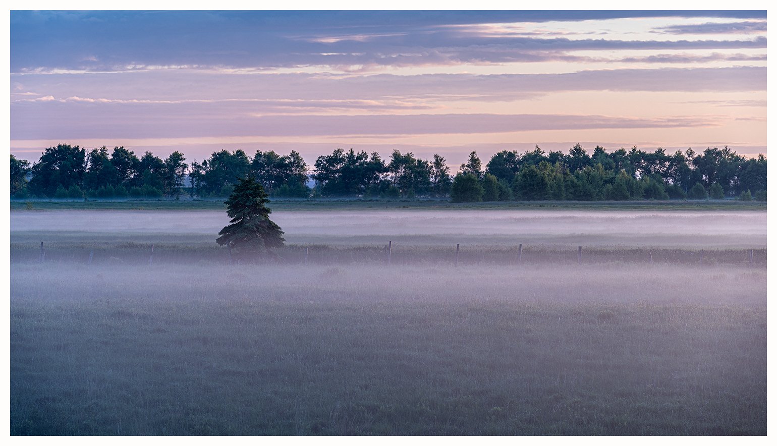 Westcock Marsh, Foggy Morning (3)