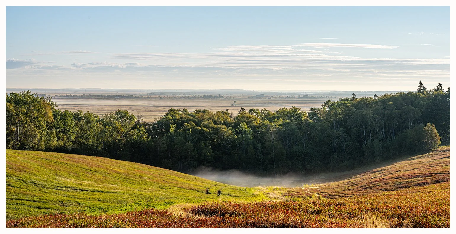 The Marsh from Westcock