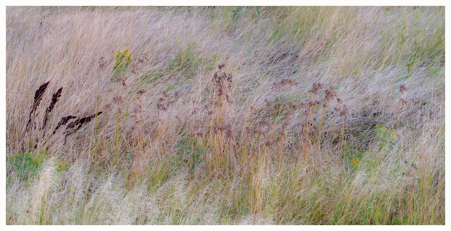 In the Field, September