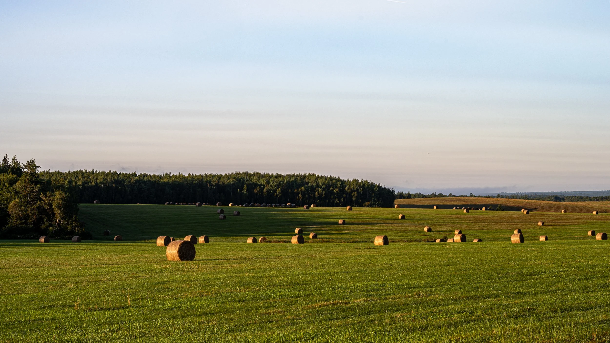 2024-08-31at07-23-33.jpg
