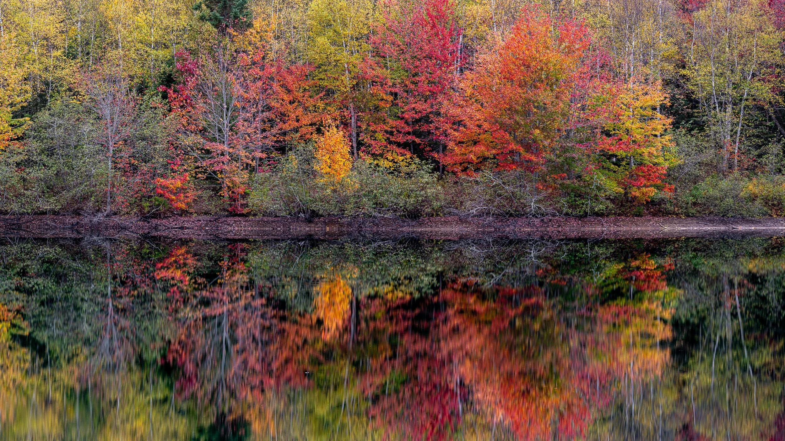 2025-10-14at18-05-05-Pano.jpg