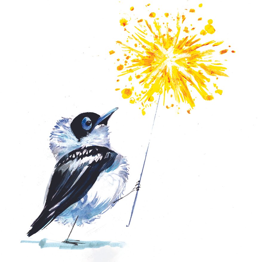 A.Alvarez-A-Spark-FW.jpg