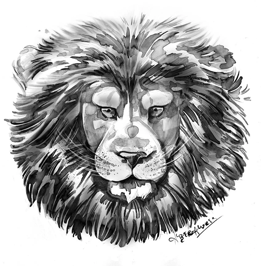 A.Alvarez-Lion-Pride-Face-FW.jpg