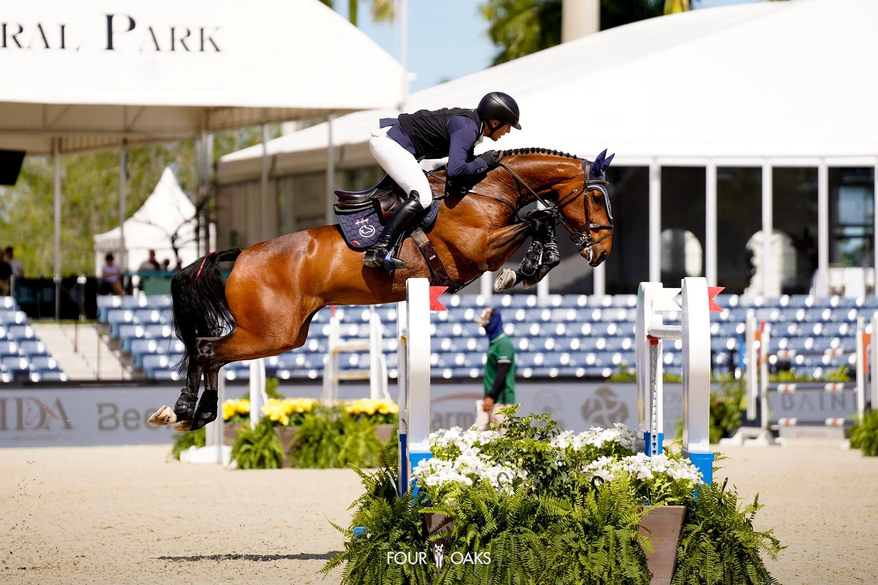 TW_WEF11_Sunday-7.jpg