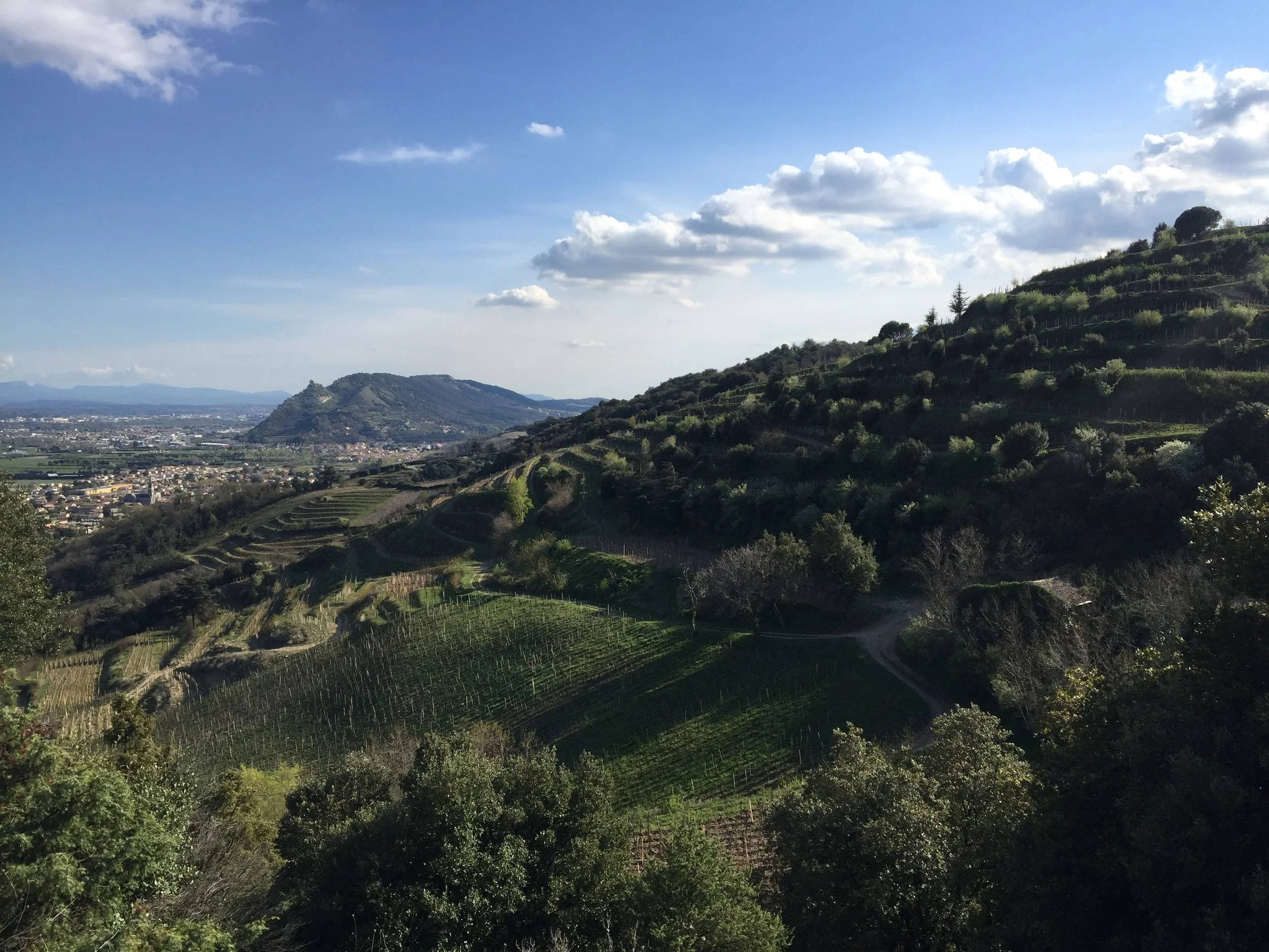 COMMON GROUND CSA MIXER @ HOMESPUN FOODS