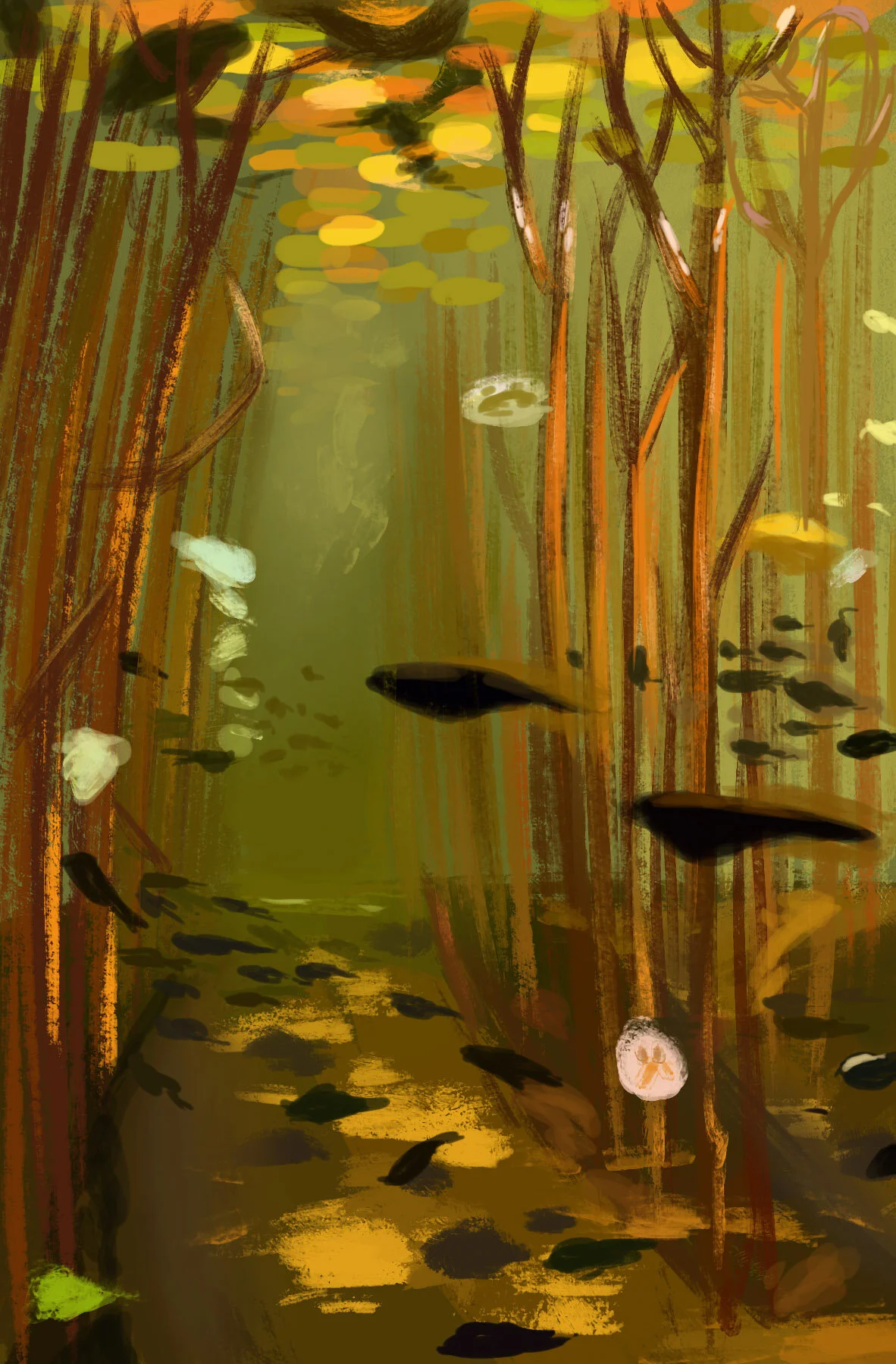 Pond Water Study 