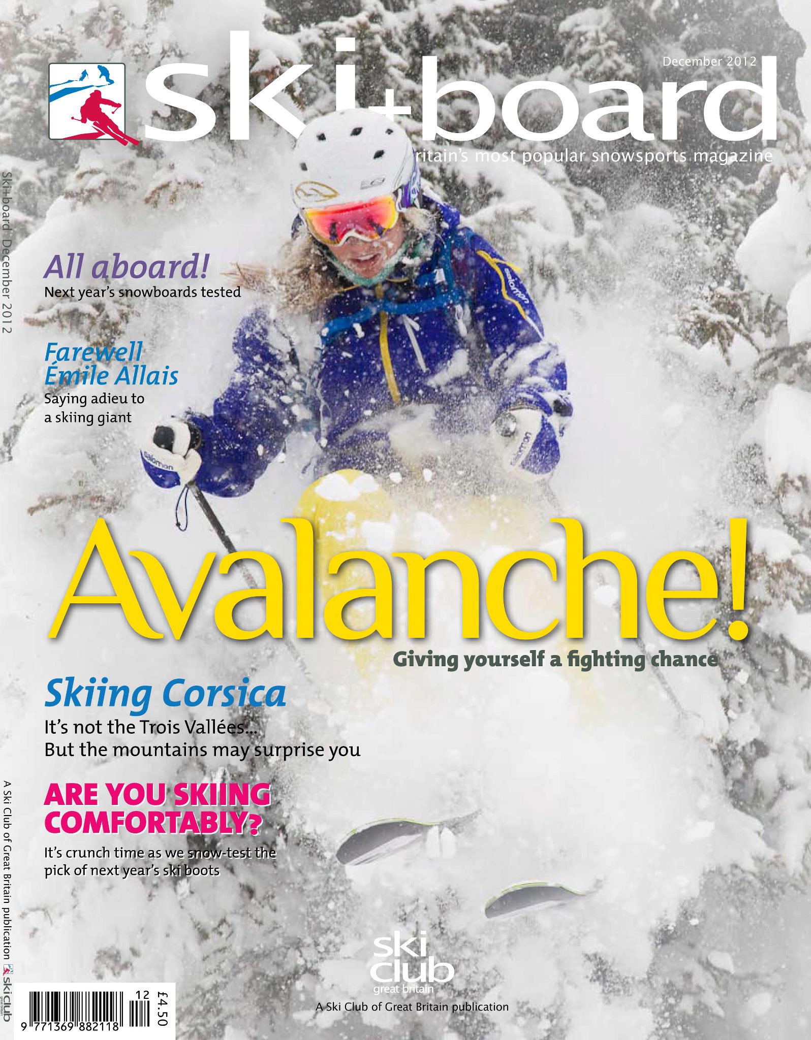 Ski+Board Cover Dec.jpg