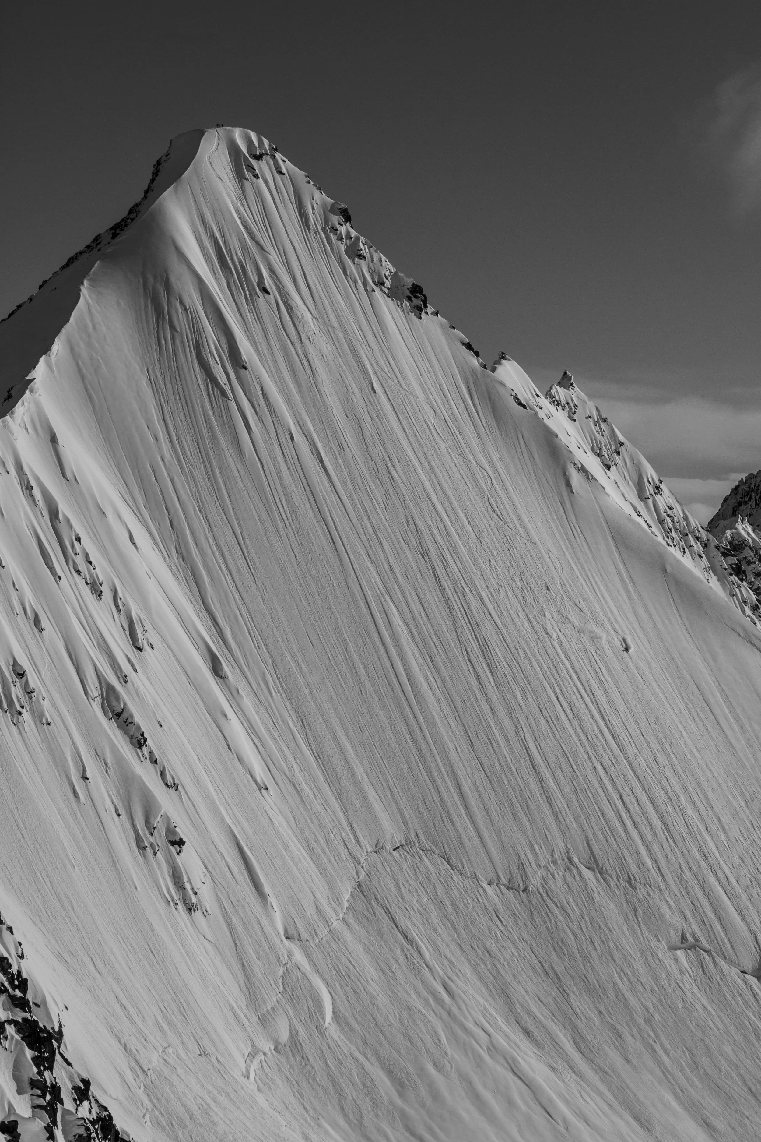 M.Bachman_Valdez_2015-9396.jpg