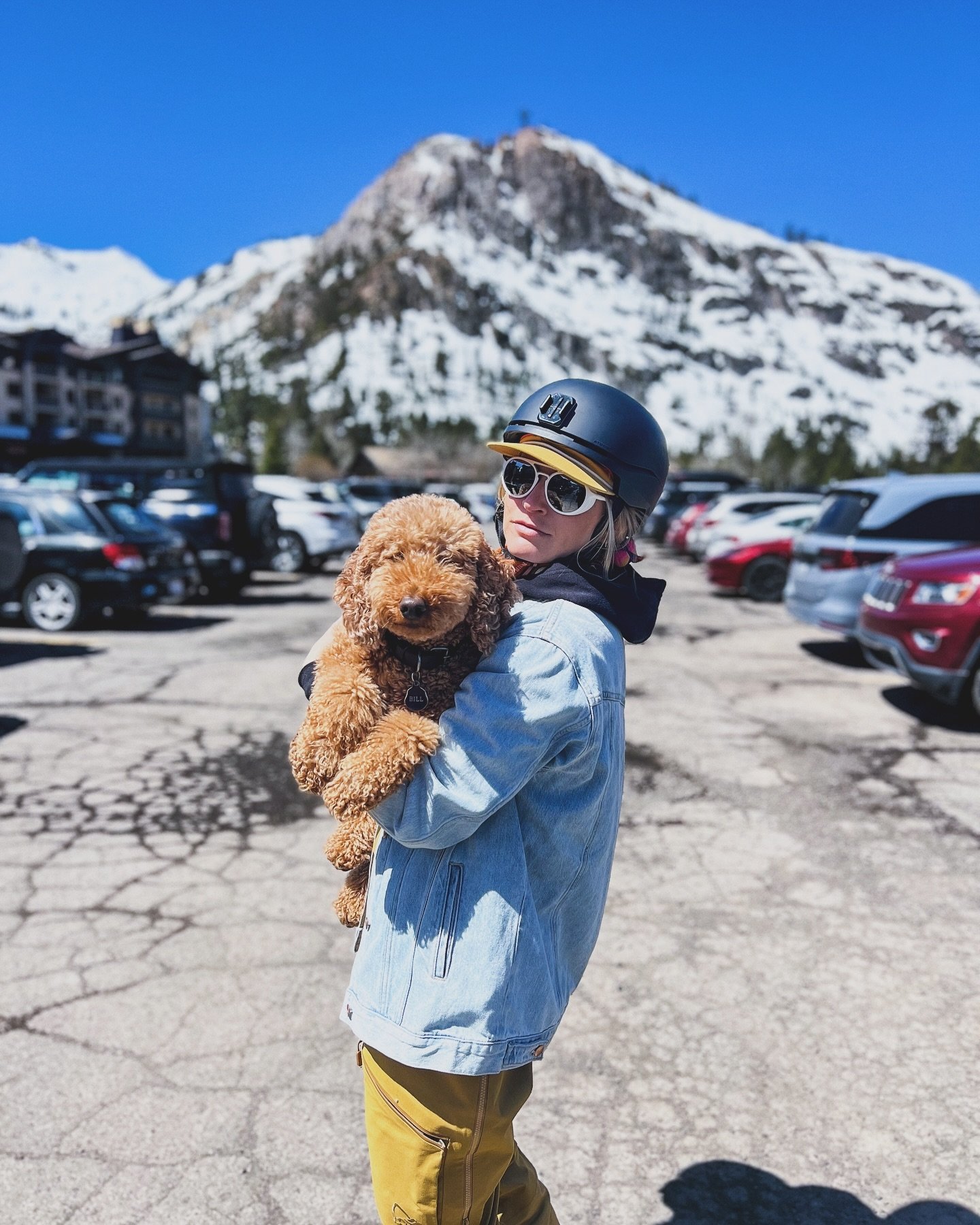 Who loves spring skiing more, me or Bill?!
.
#springskiingcapital #billthepoodle