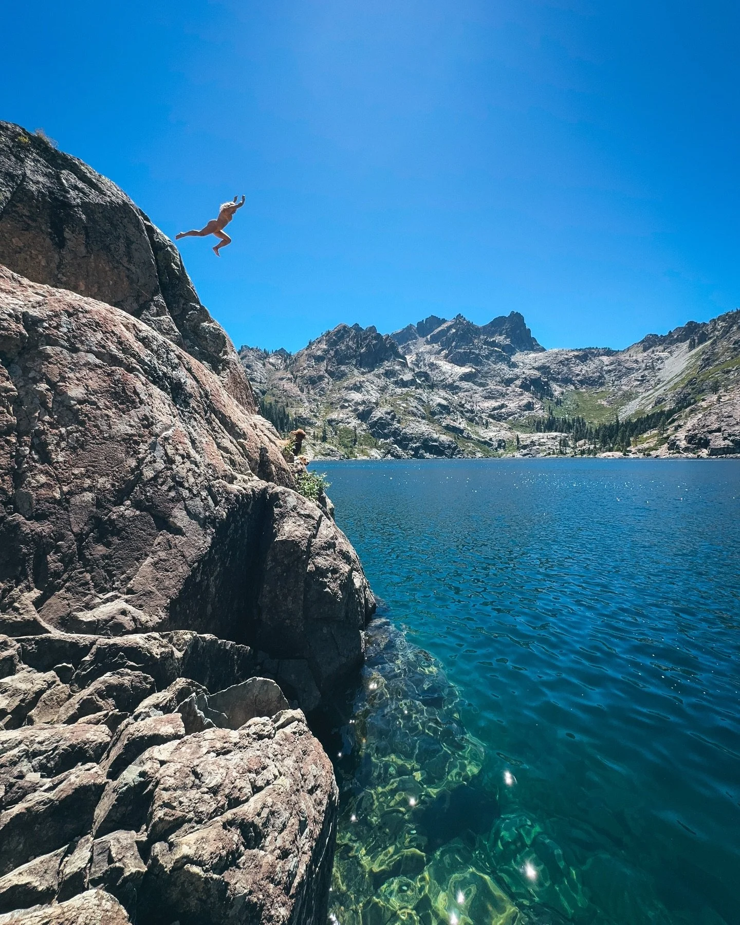 Love me a little summer send! 
.
#summertime #sendit #wouldyou #321dropping #splash #crosstraining 📸 and depth checker @toddligare 
.
PS zoom in on the last frame to see a friendly stranger dog taking a send in after me 😂