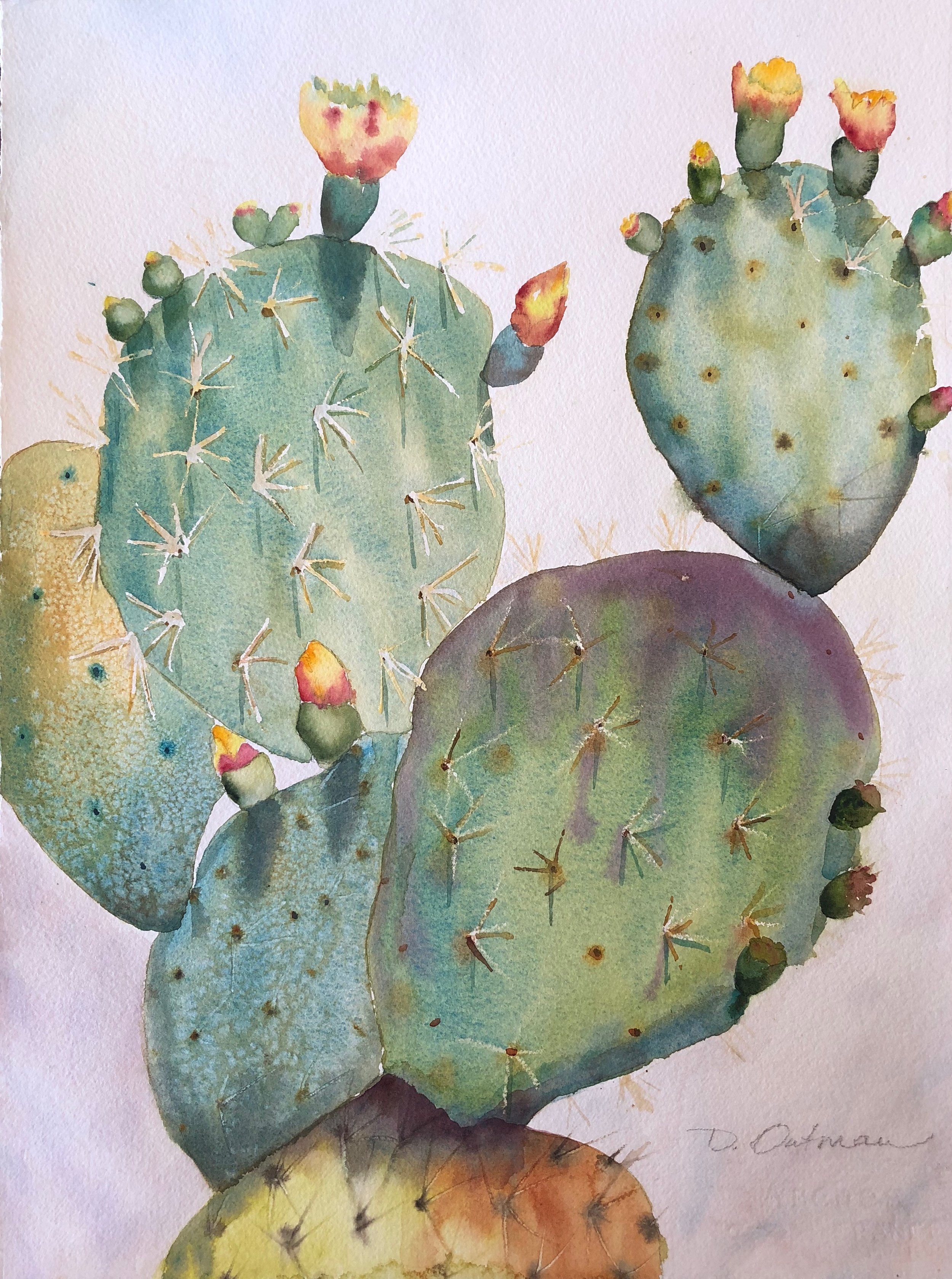 Portrait of a Cactus.jpg