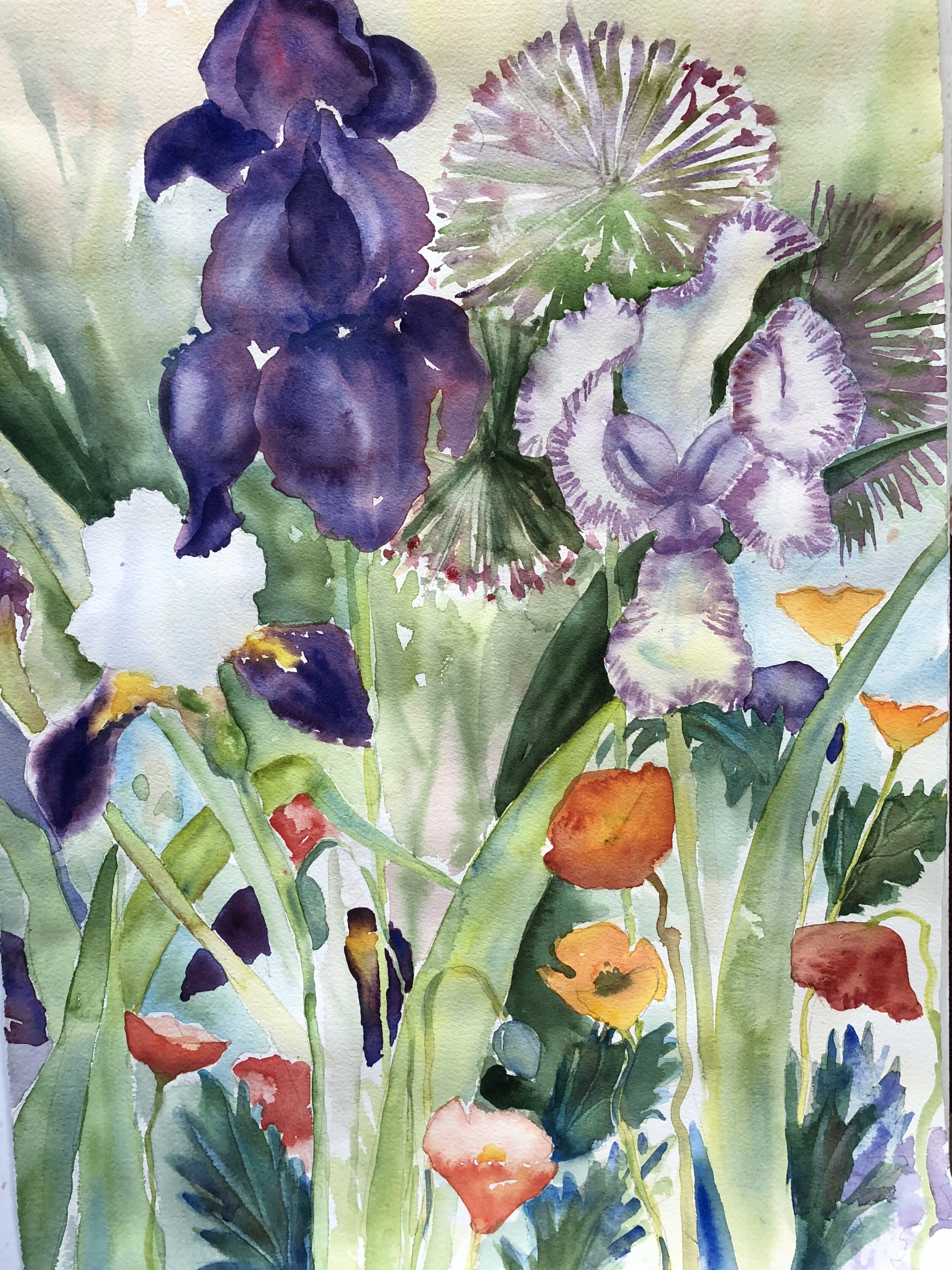 Spring Arrivals