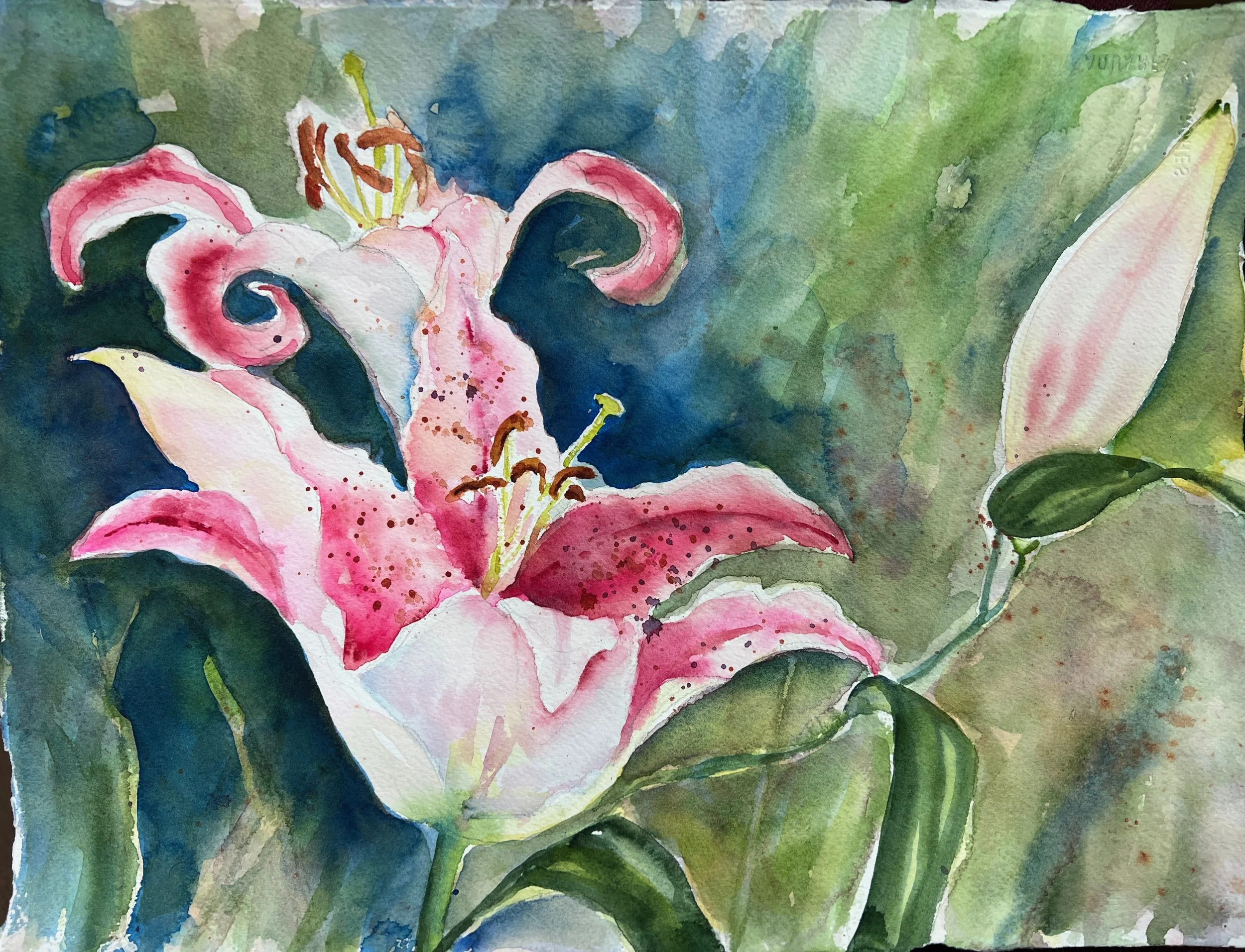 Stargazers