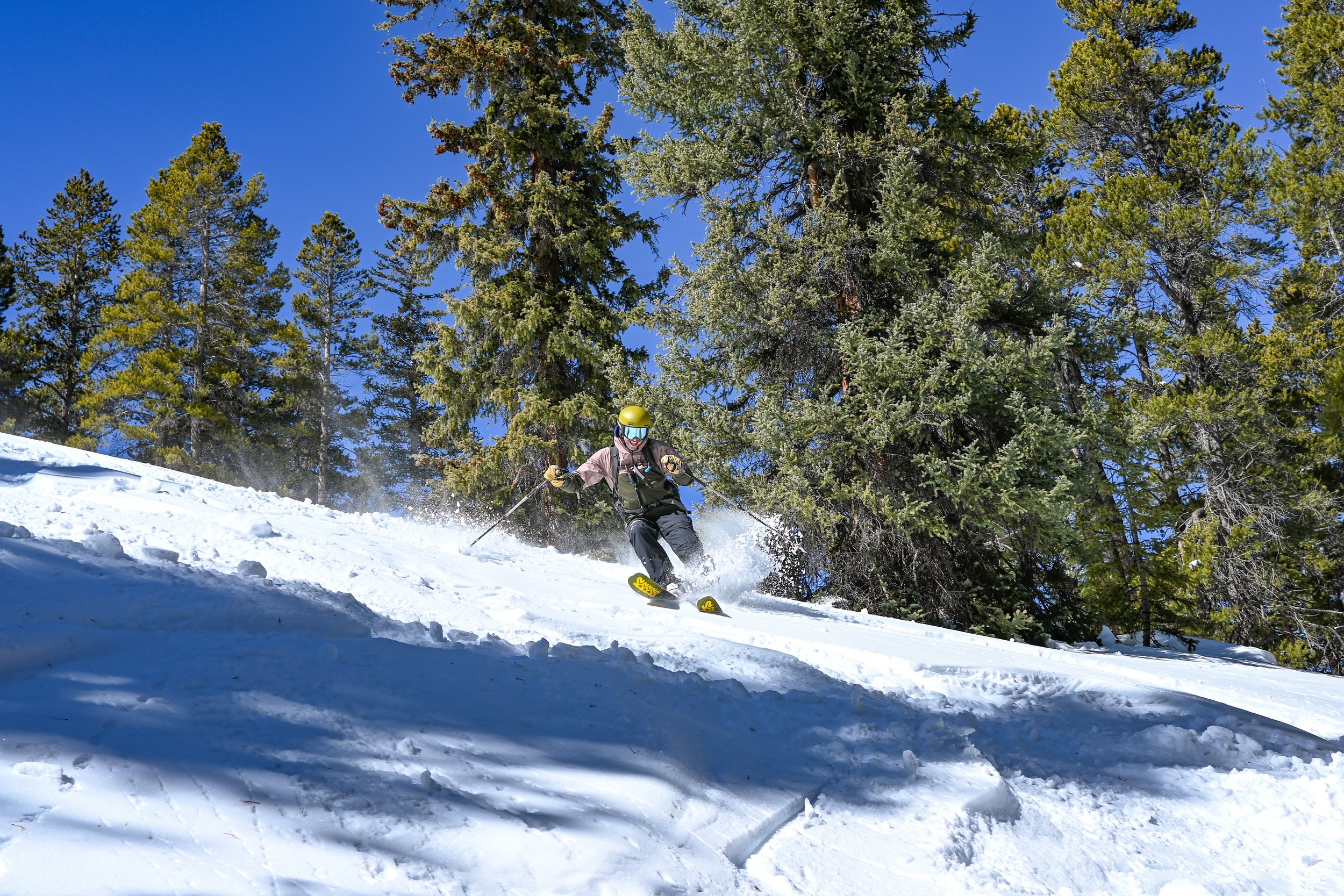 DSC_2805.jpg