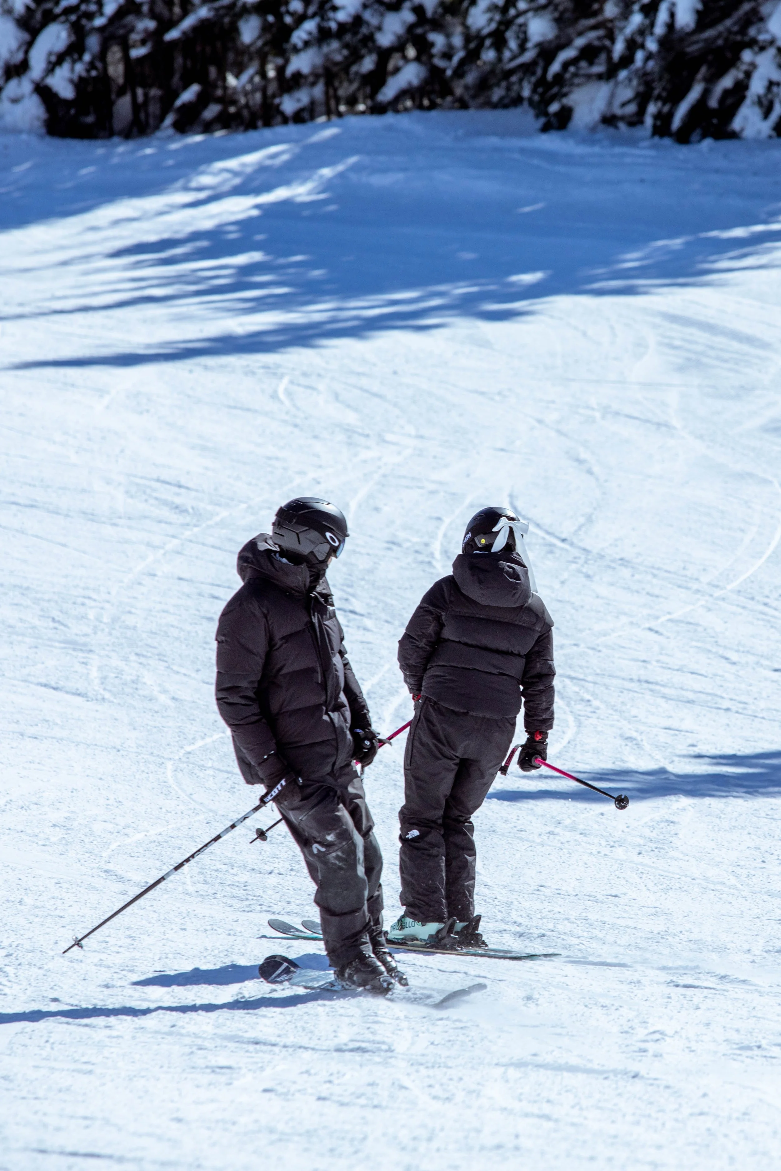 Adventure Ski Engagement 