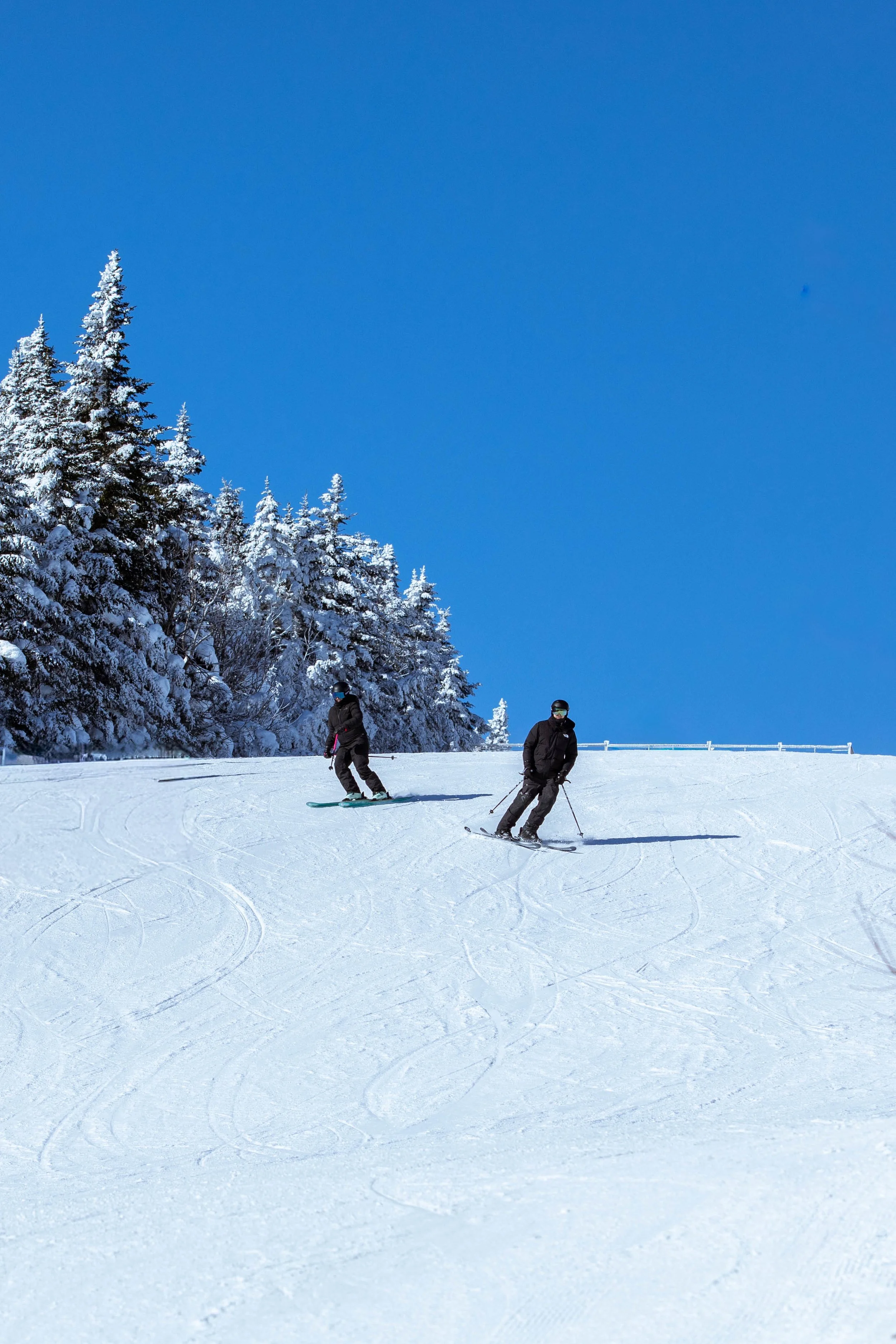 Adventure Ski Engagement 