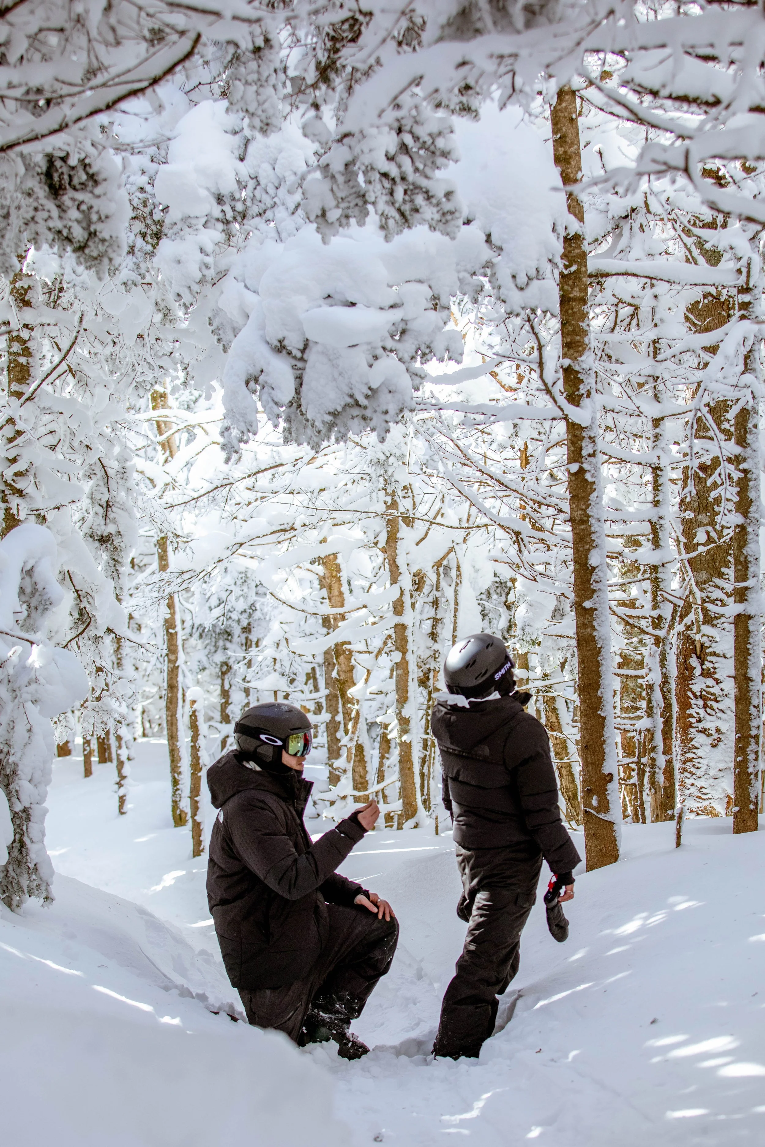 Proposal Photographer Vermont