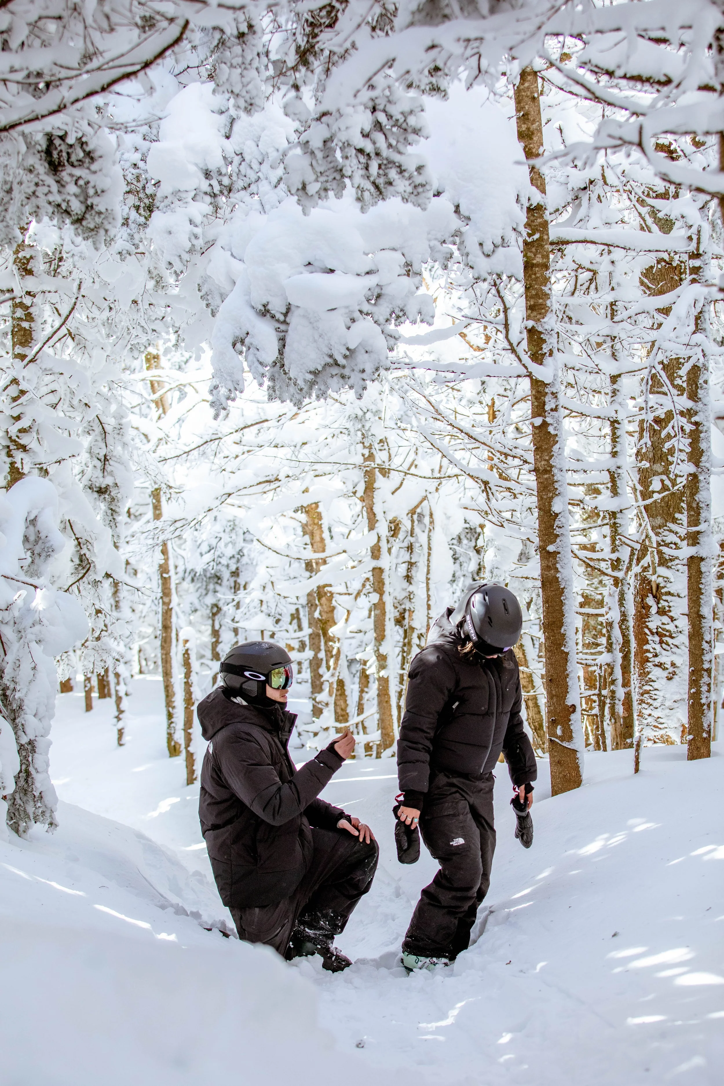 Proposal Photographer Vermont