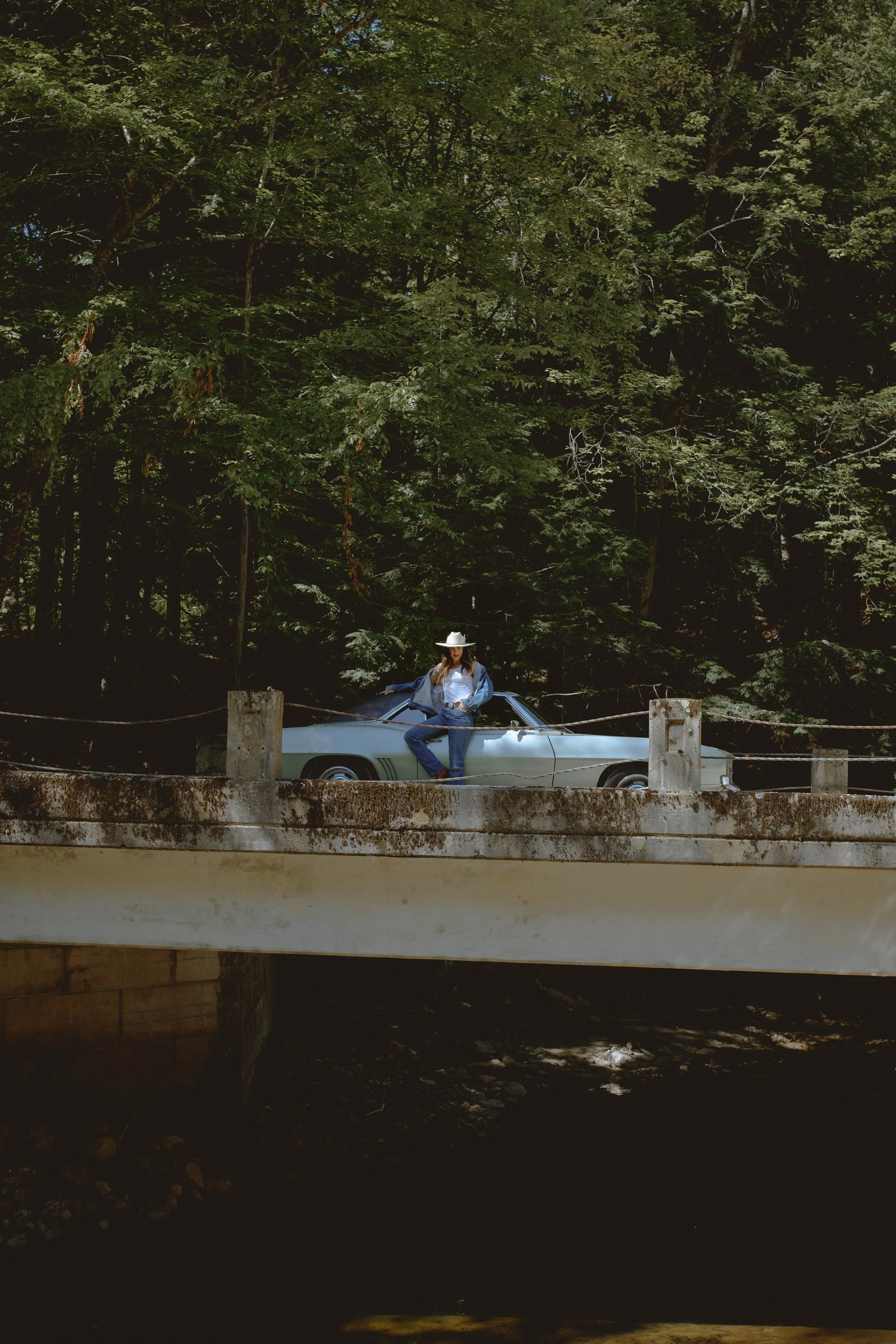 A Bridge In The Woods