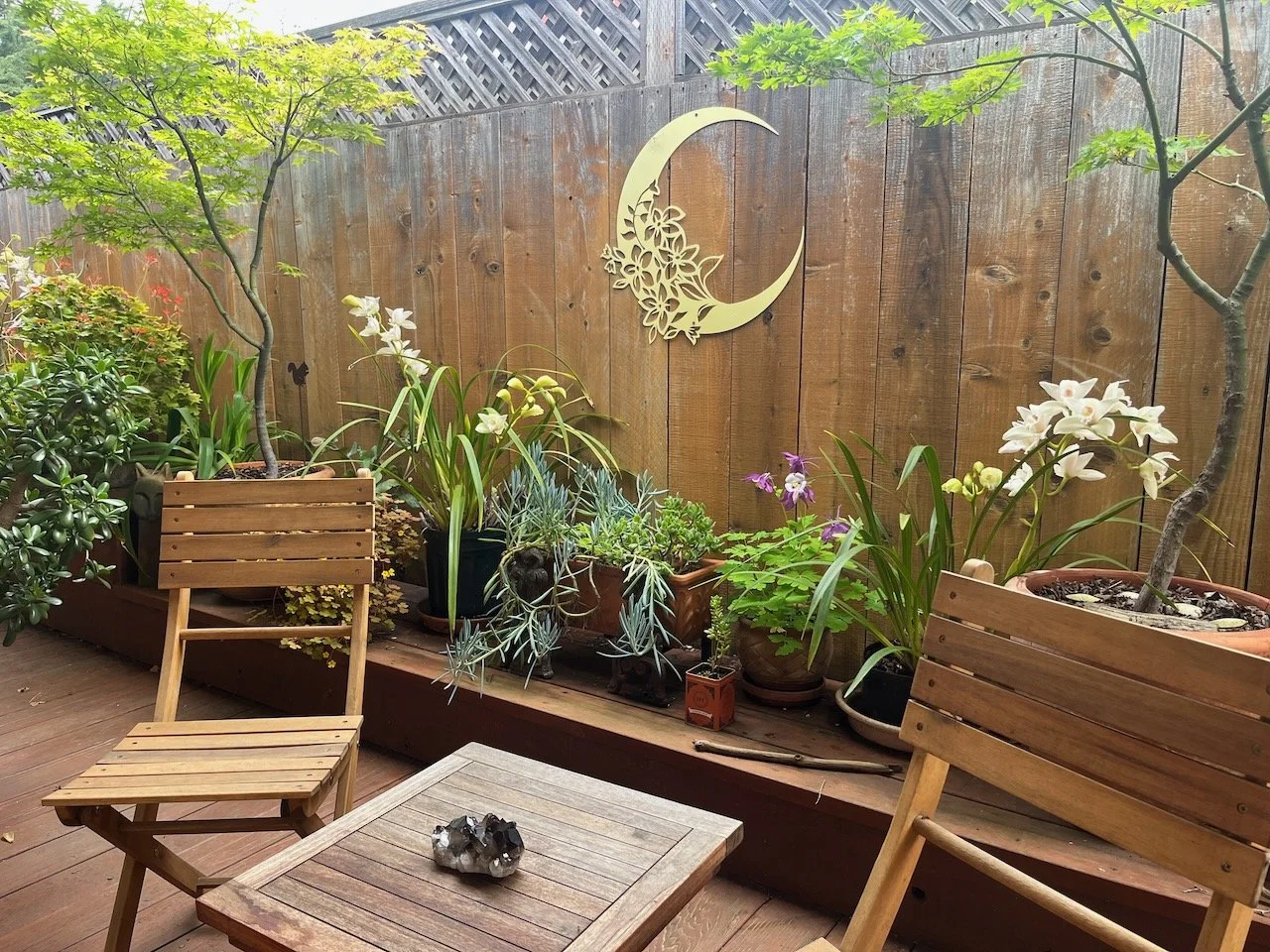 Plants on my Novato CA deck. Yellow moon art on fence.