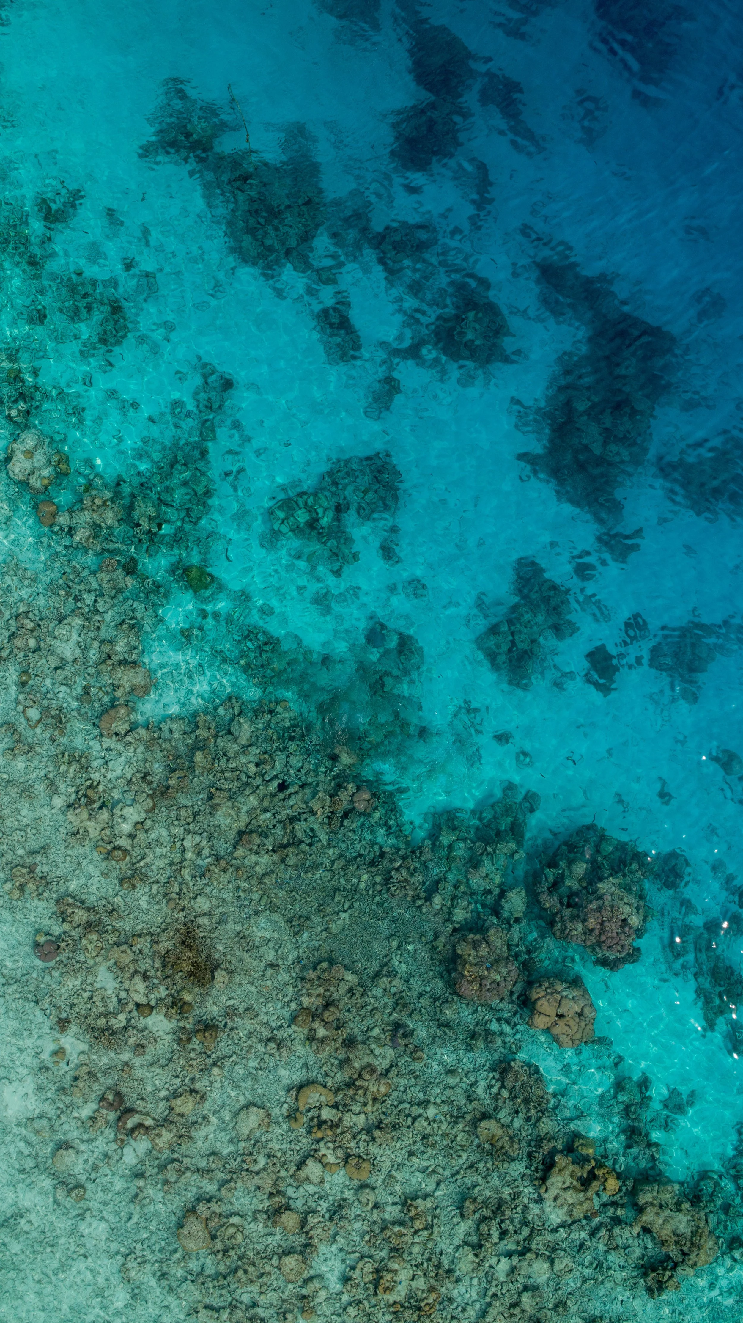 ishan-seefromthesky-vlIwCEmEJQU-unsplash.jpg