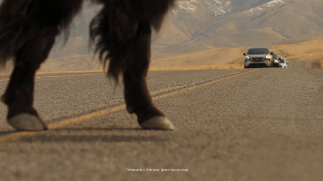 st030_prores_20231208.gif