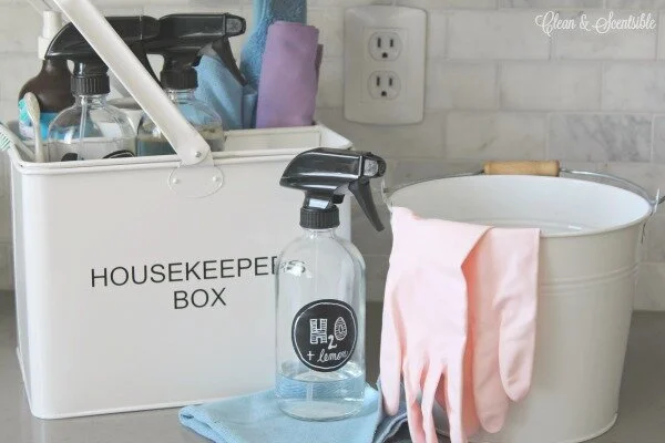 Portable-Home-Cleaning-Kit-Essentials-71.jpg