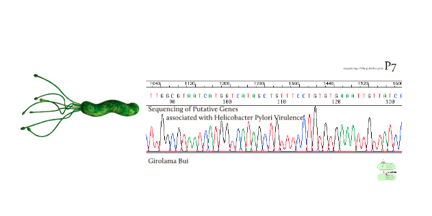 Inaugural English-Stonehouse Research Fellow 2011-13
