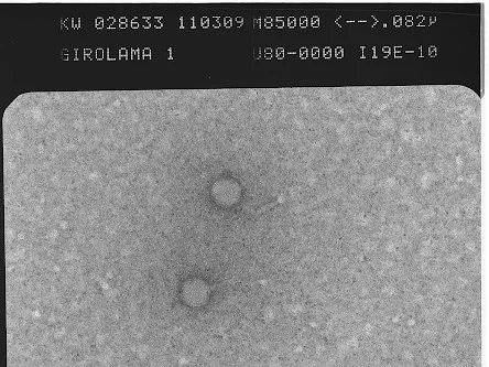 When I discovered the GUI virus. 