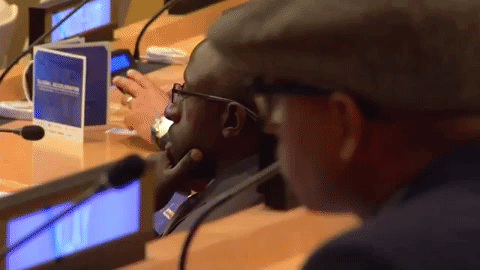 Global Accelerator: Bringing Together Entrepreneurs and the United Nations