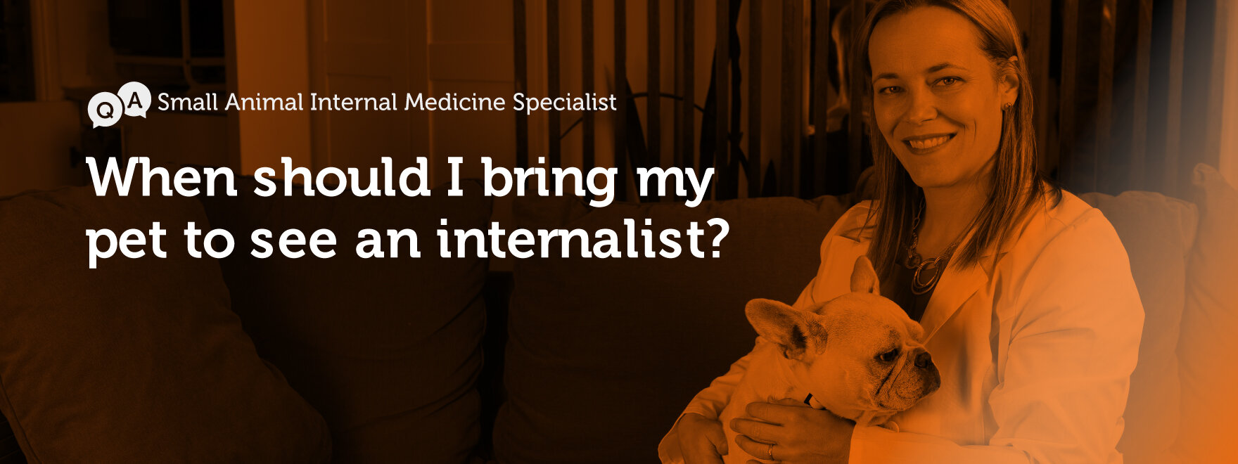 Q&A - Small Animal Internal Medicine Specialist — Dr. Lawren Durocher Babek