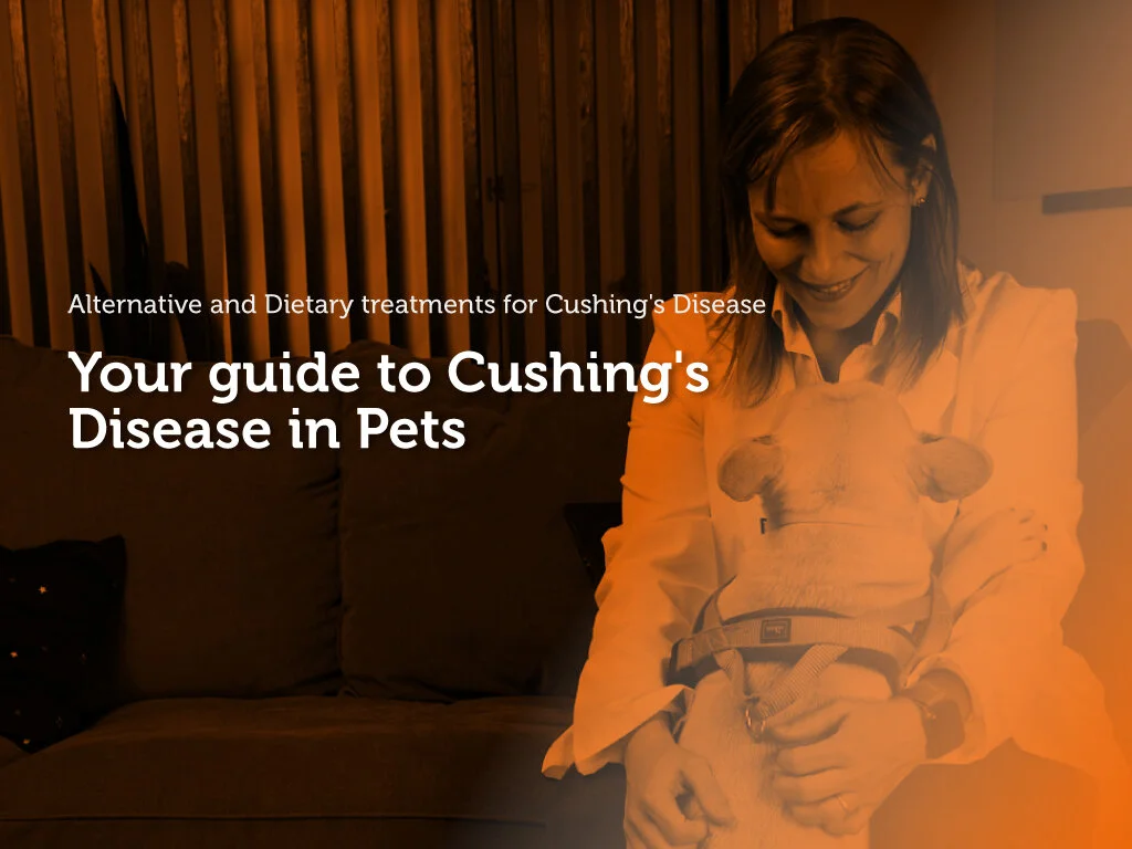 Alternative and dietary treatments for Cushing’s Disease
