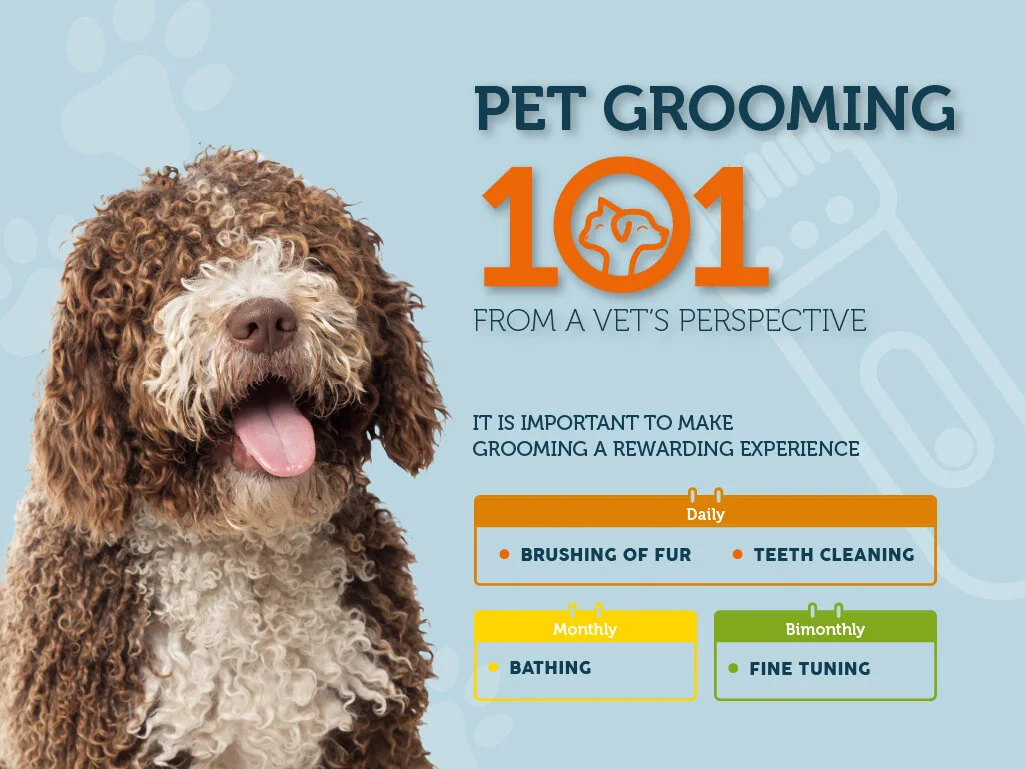 Infographic: Grooming 101