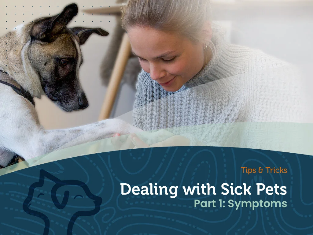 Tips and Tricks - Dealing with Sick Pets (Symptoms)