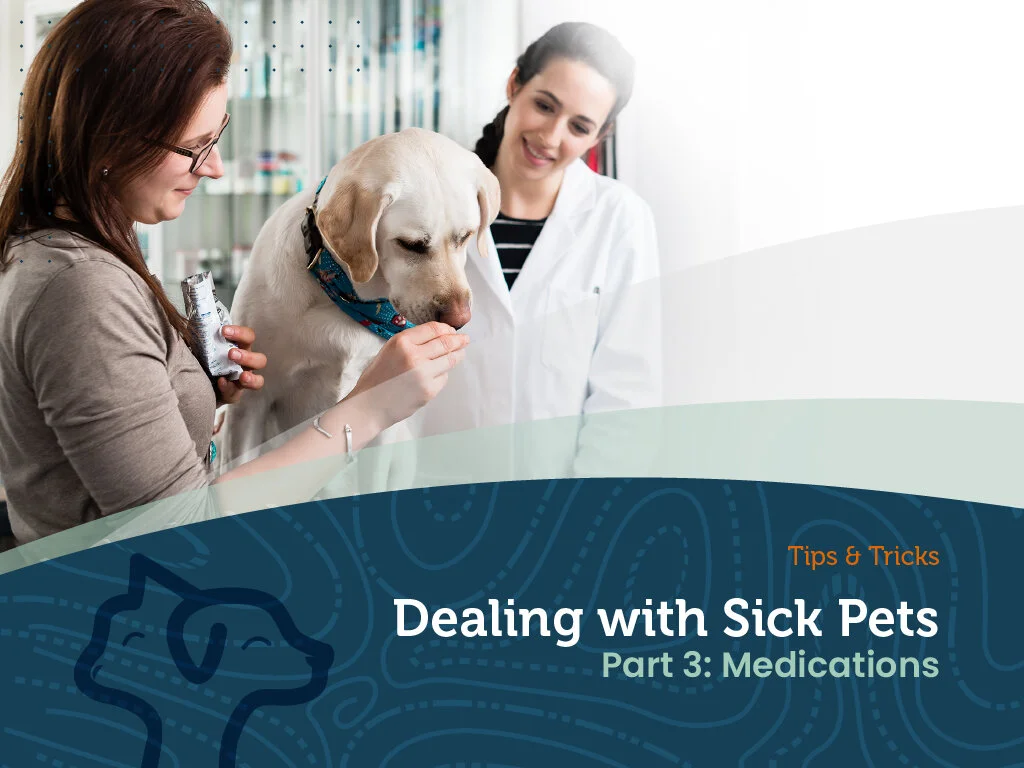 Tips and Tricks - Dealing with Sick Pets (Medications)