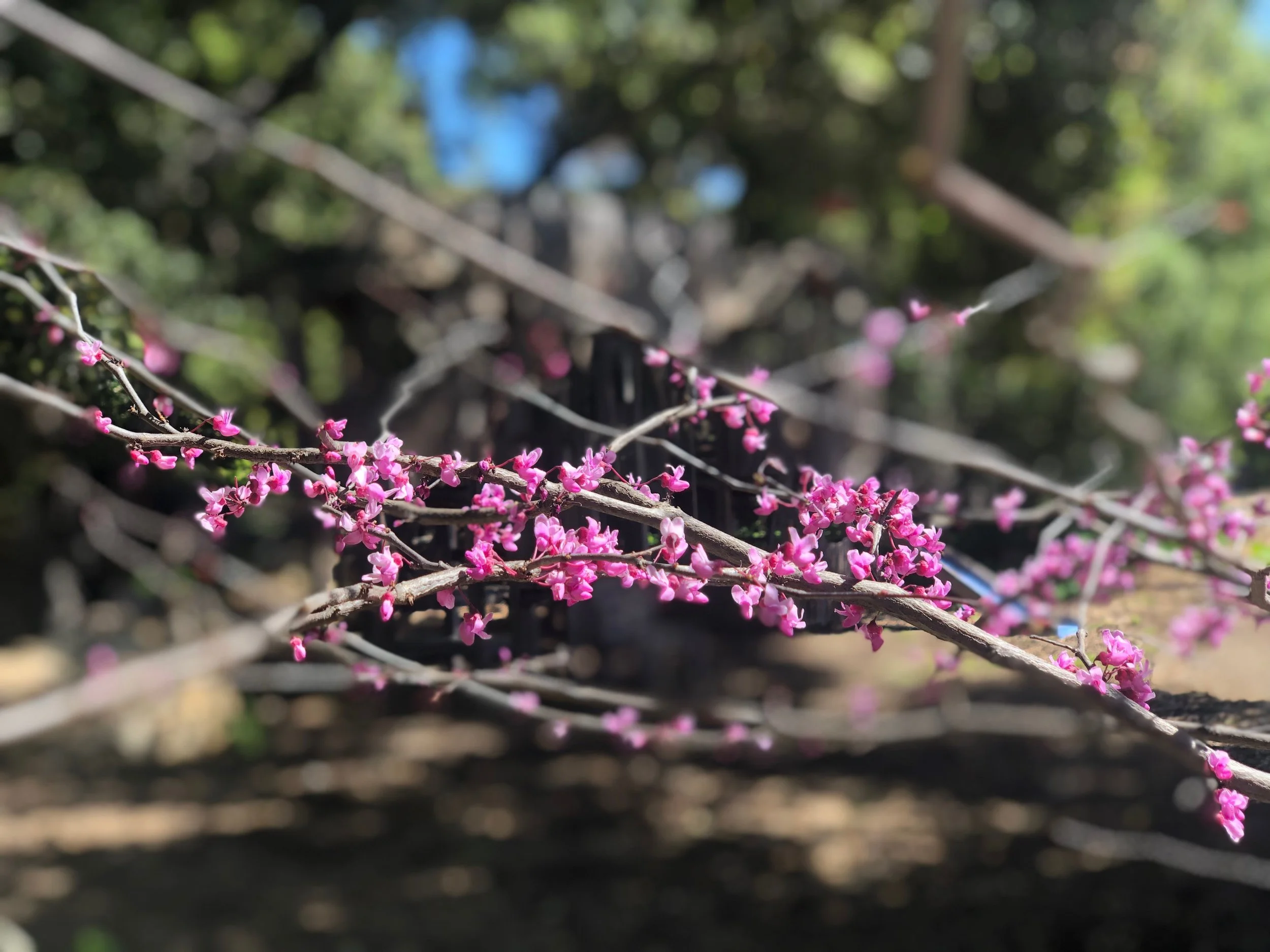 IMG_0565.jpeg