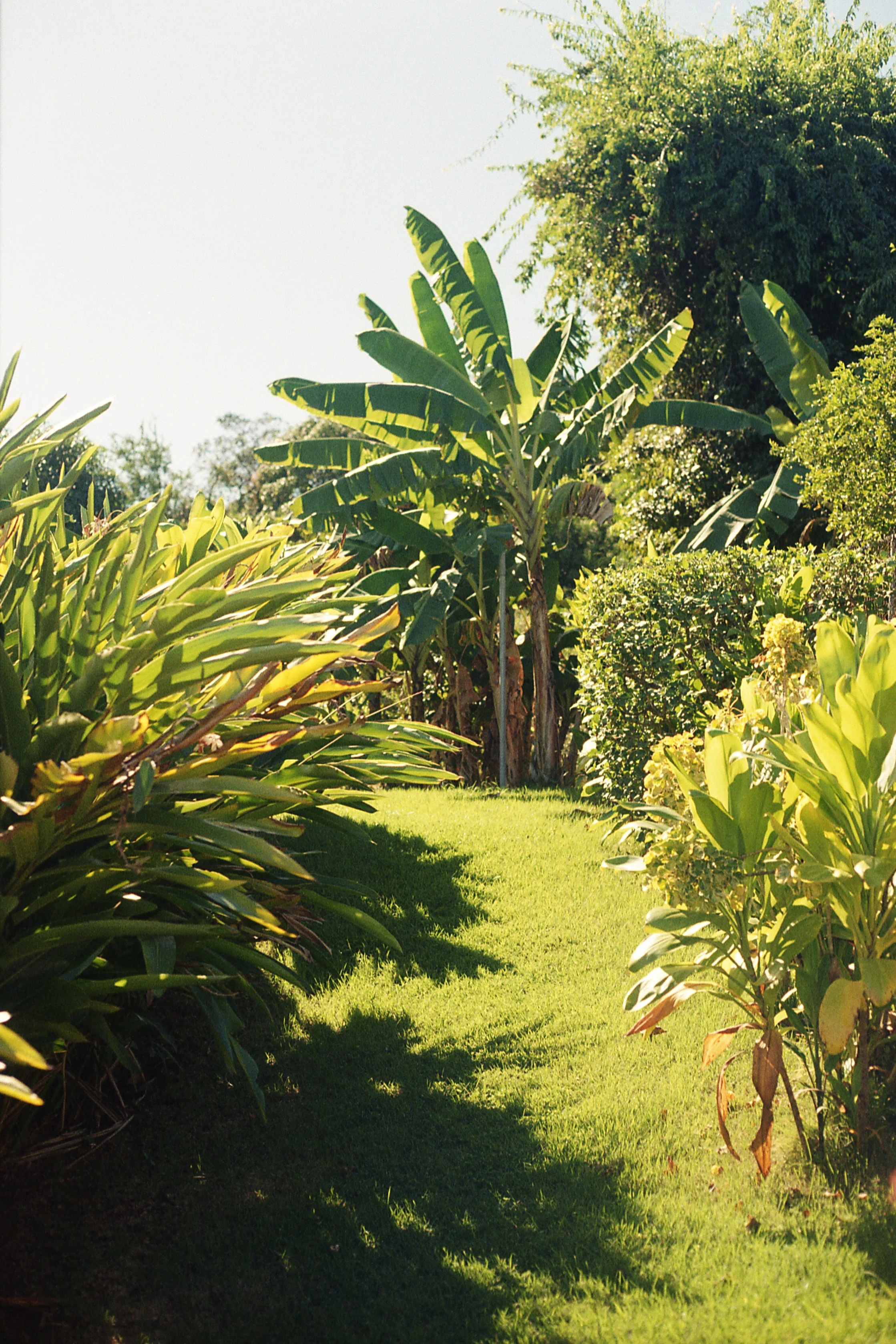 Casa-de-las-Titis_02.jpg