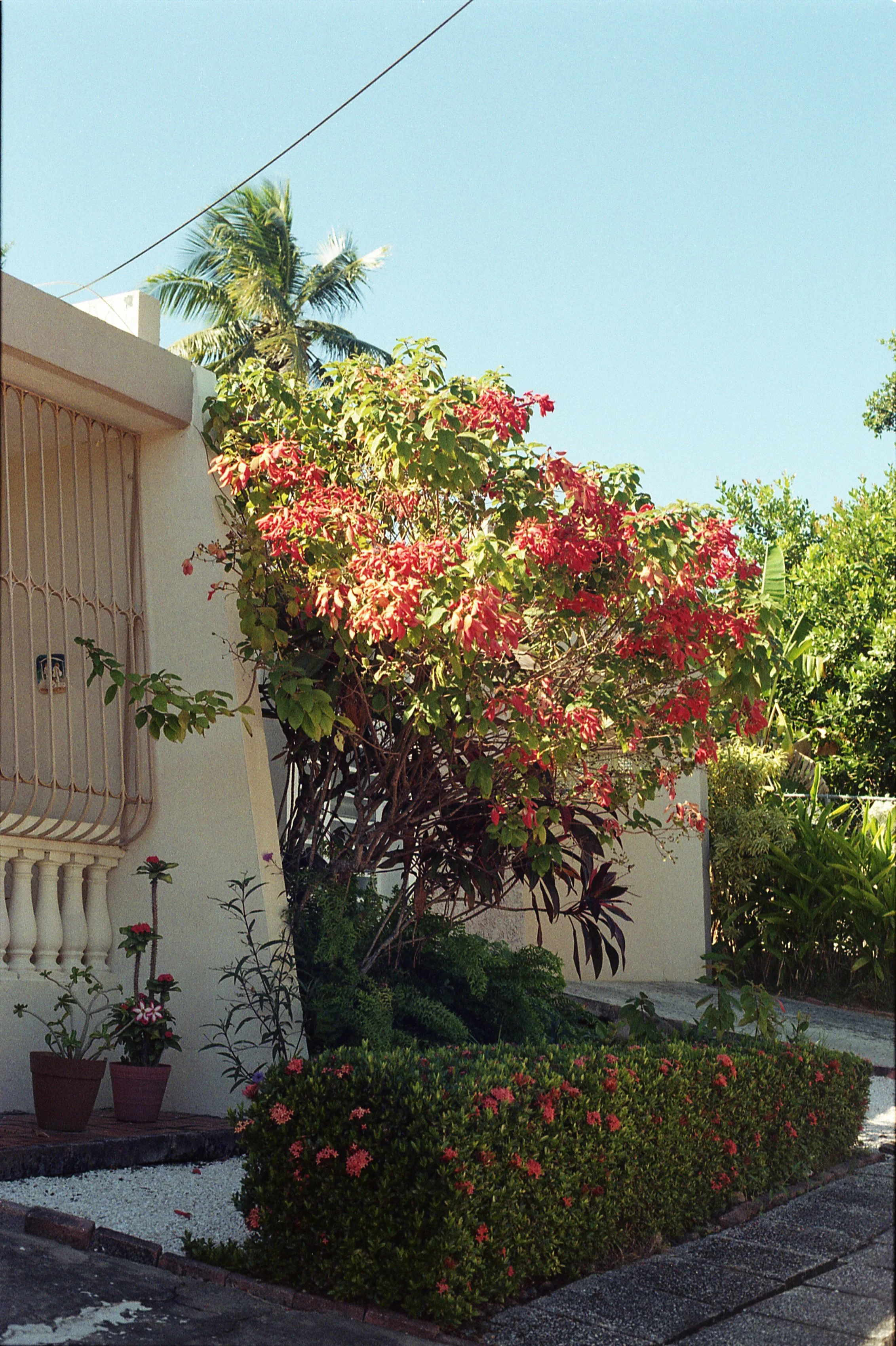 Casa-de-las-Titis_01.jpg