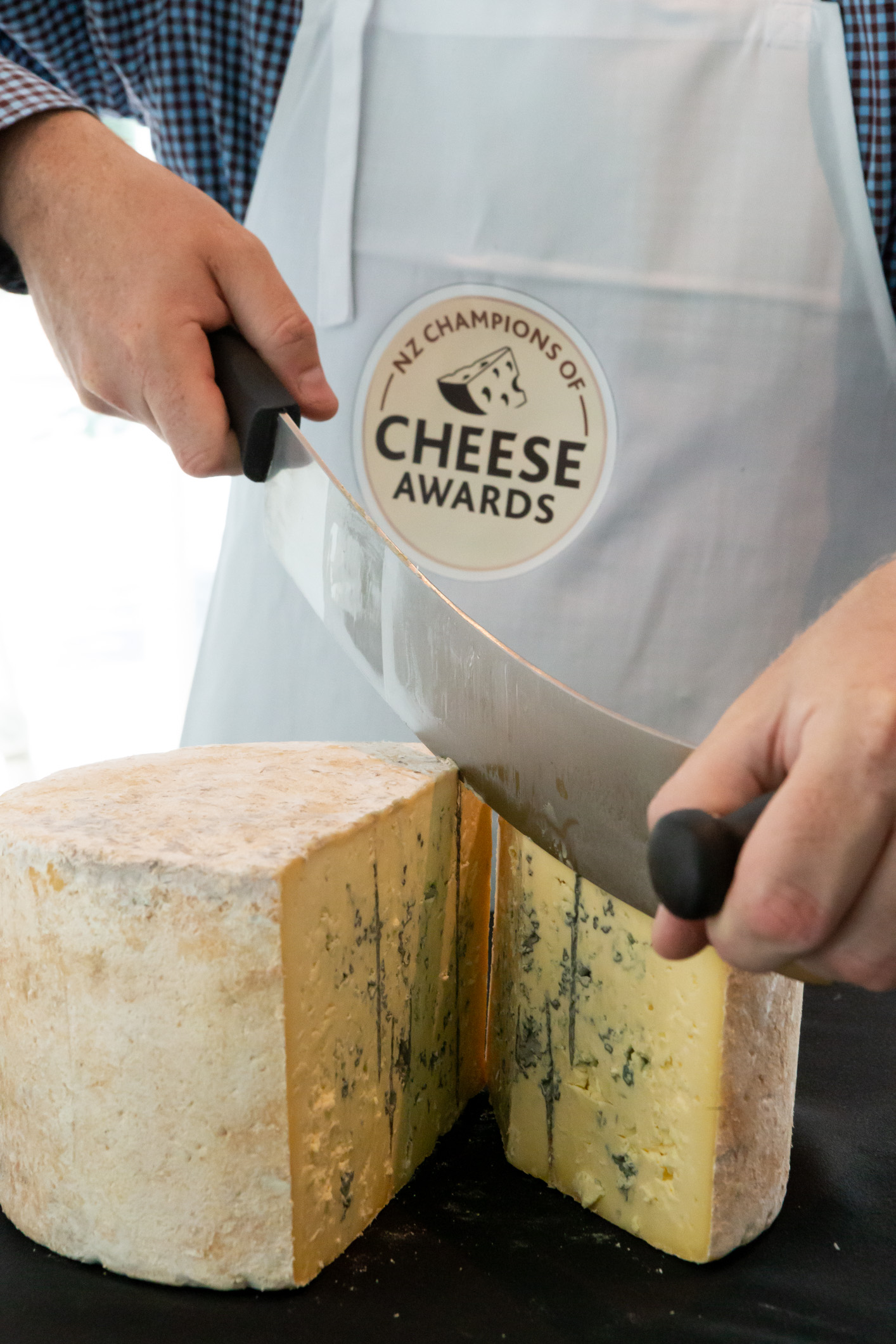 2019 Cheese Judging blue.jpg