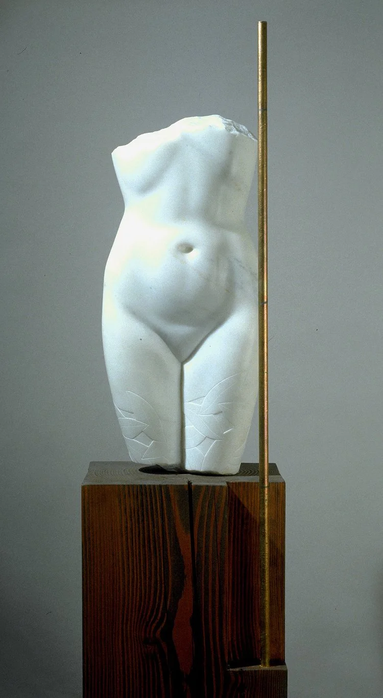 Torso-color.jpg