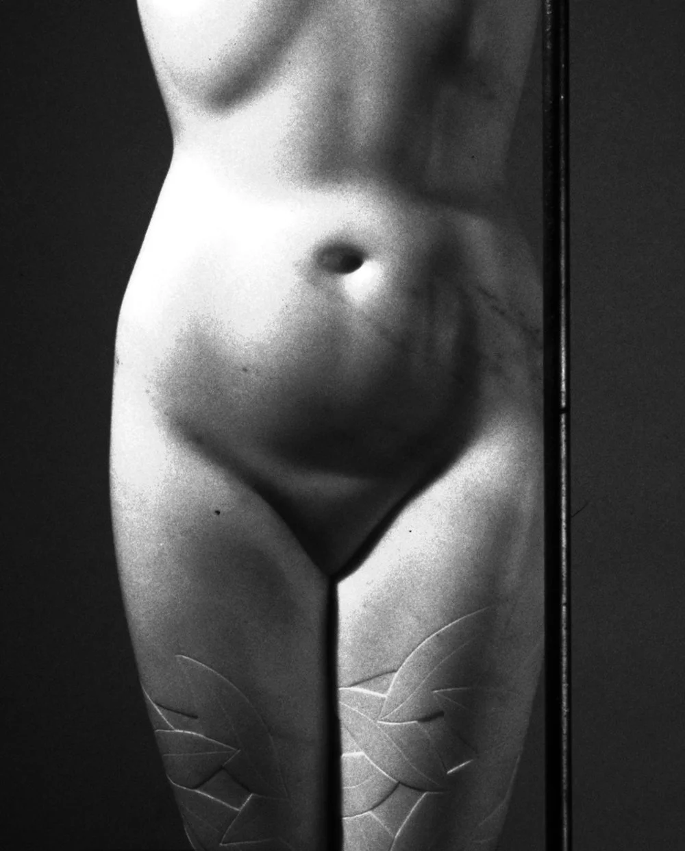 Torso-BW+8x10.jpg