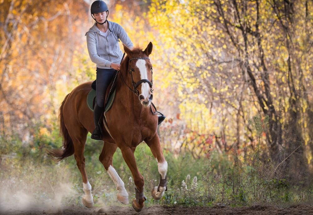 Keeping your horse Sound and Supple during the winter months
