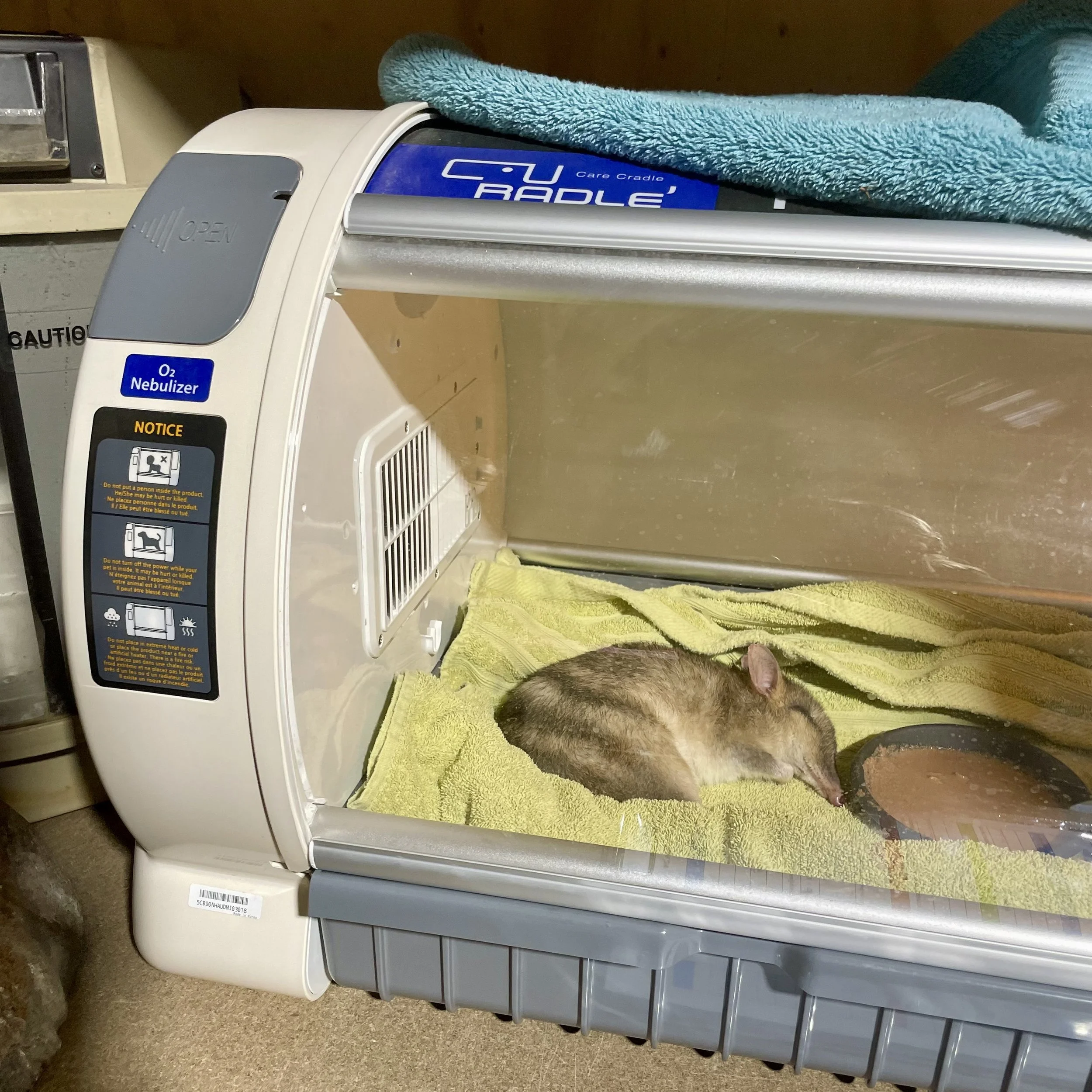 WIRES Grant Recipient News — Forth Valley Vet Clinic