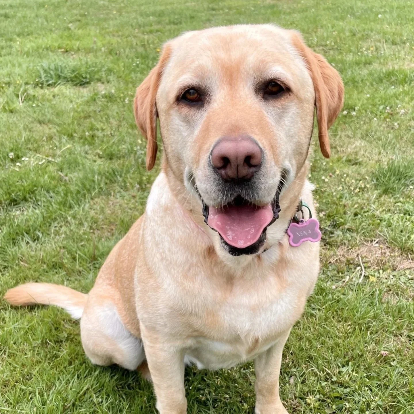 The Birthday Scare That Revealed Xena’s Secret