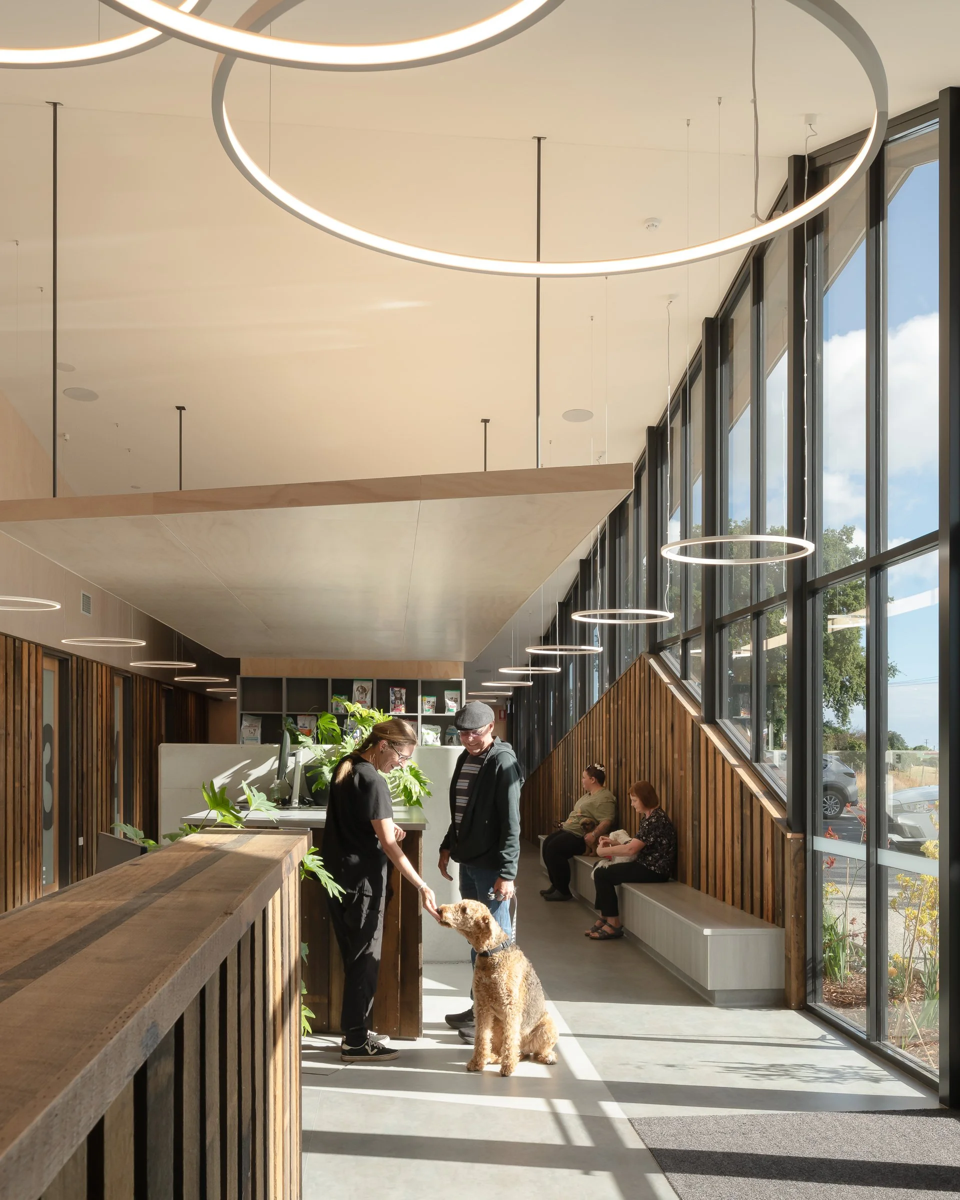 Starbox_ForthValleyVetClinic_04.jpg