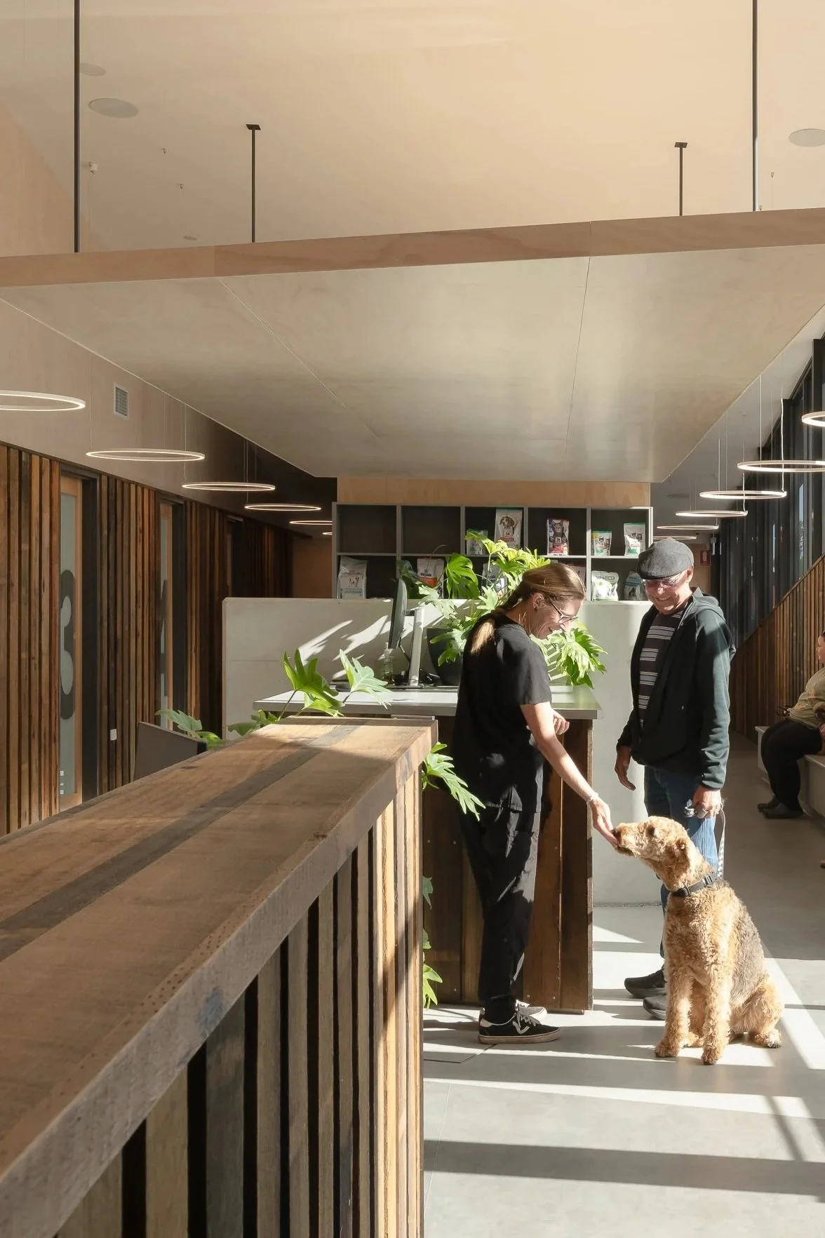 Starbox_ForthValleyVetClinic_04.jpg