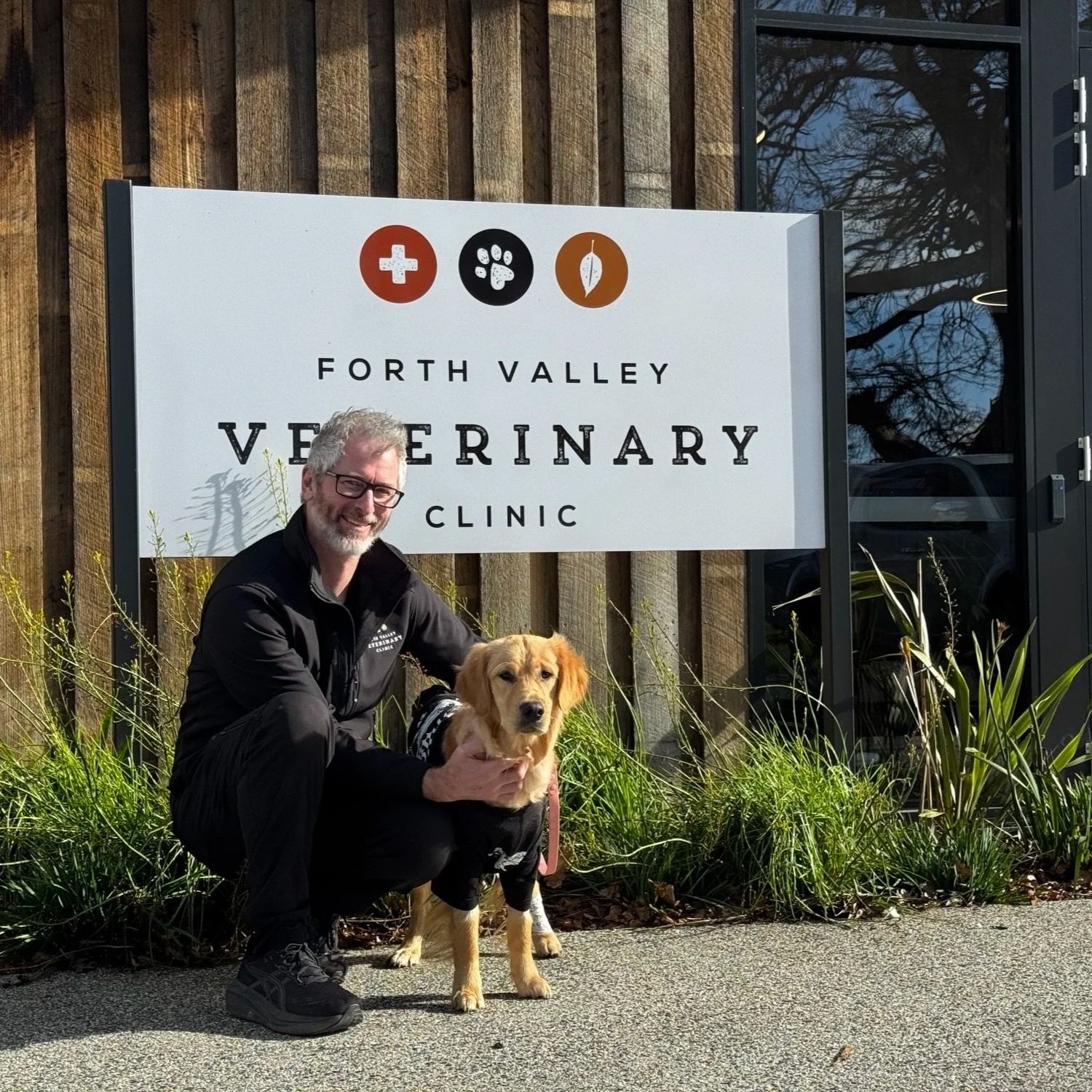 An important update to your dog’s annual healthcare 